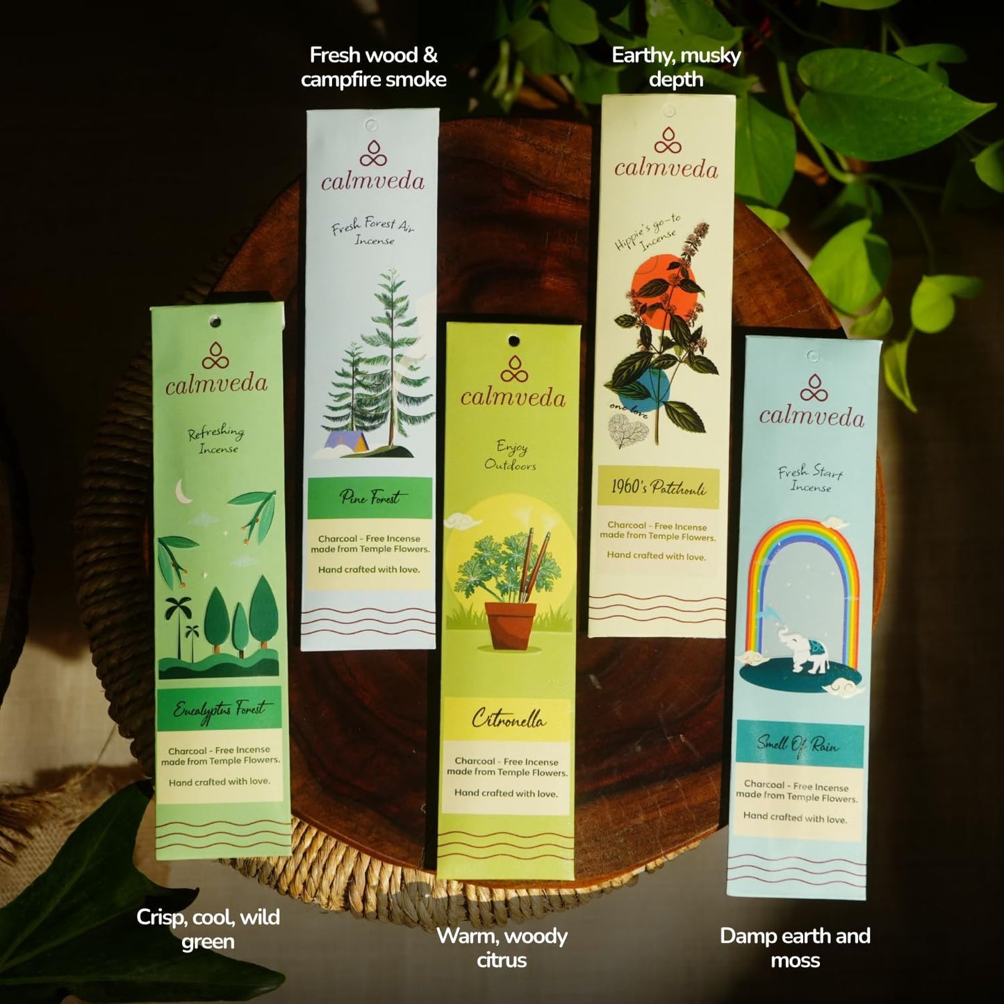 Tropical Forest Incense Variety Pack- 5 Scents: Citronella, Eucalyptus, Pine Forest, Smell of Rain & Patchouli | Charcoal-Free Natural Incense Sticks | Eco-Friendly Aromatherapy Gift Set