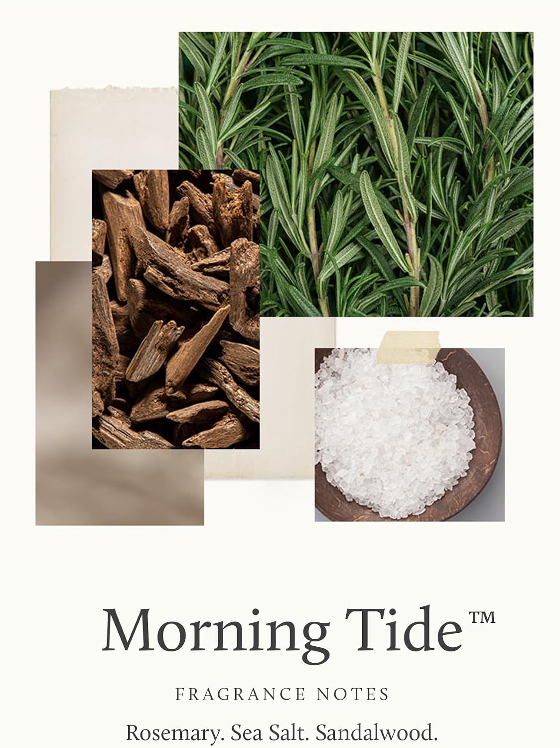 Thymes Home Fragrance Mist – Room Air Fresheners for Home Long Lasting – Air Freshener Spray – Scented Room Spray with Notes of Lemon, Rosemary, Sea Salt & Sandalwood (Morning Tide, 3 oz)