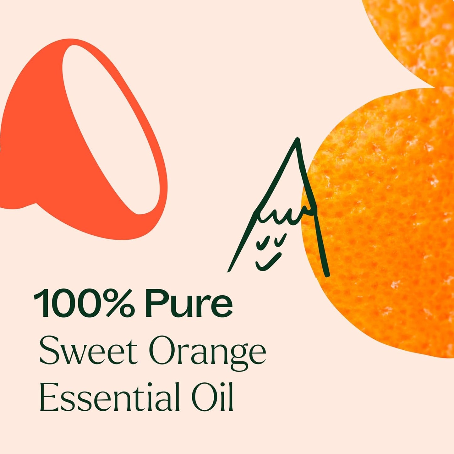 Plant Therapy Sweet Orange Essential Oil, 10 mL (1/3 oz), 100% Pure and Undiluted, Natural Aromatherapy, Great for Diffusers and DIY Skincare