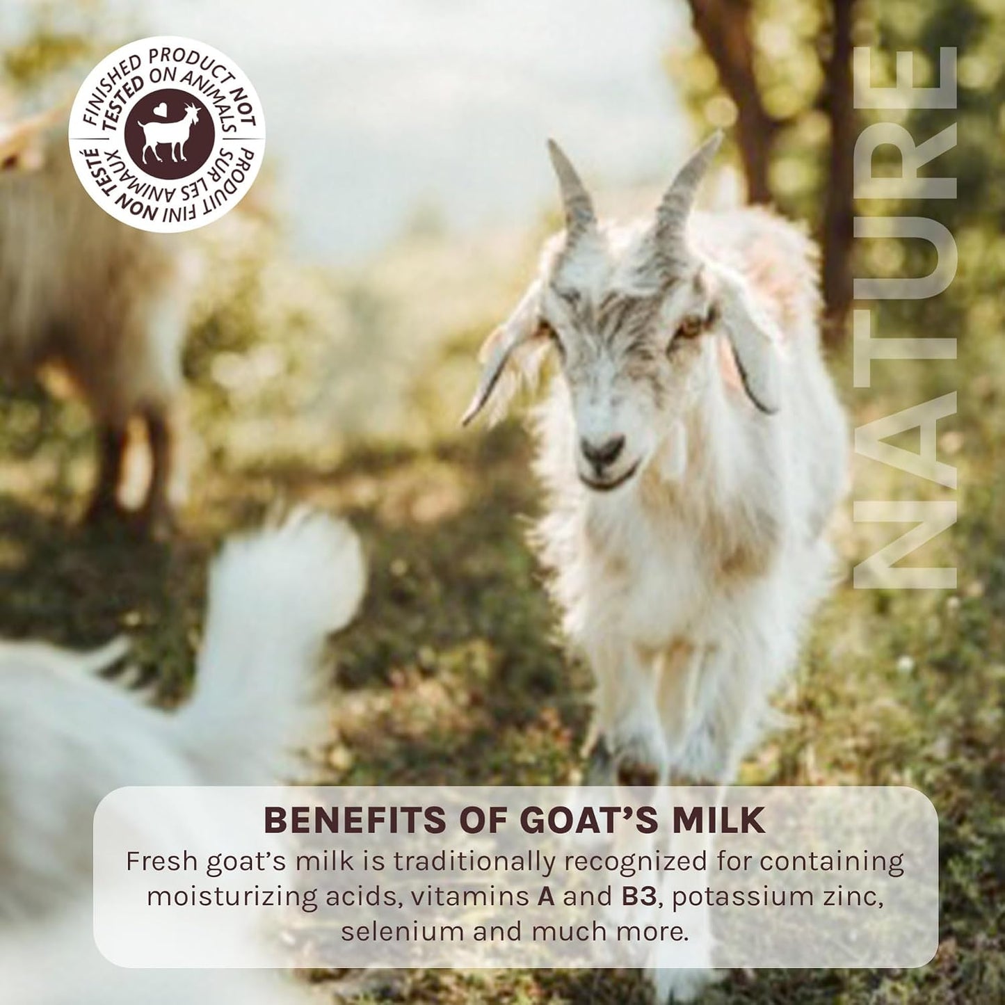 Goat Milk Bubble Bath Foaming Soak, 27.1 Fl Oz with Fresh Canadian Goat Milk, Smoothing Bath Milk for Soft Skin, Nature by Canus Original