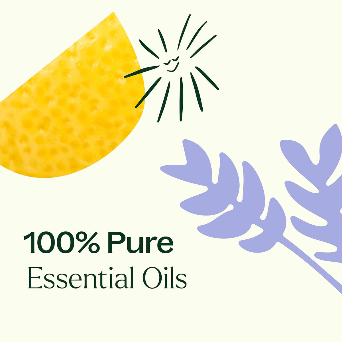 Plant Therapy Breathe Easy Essential Oil Set of 6 Bottles 10 mL (1/3 oz) Each