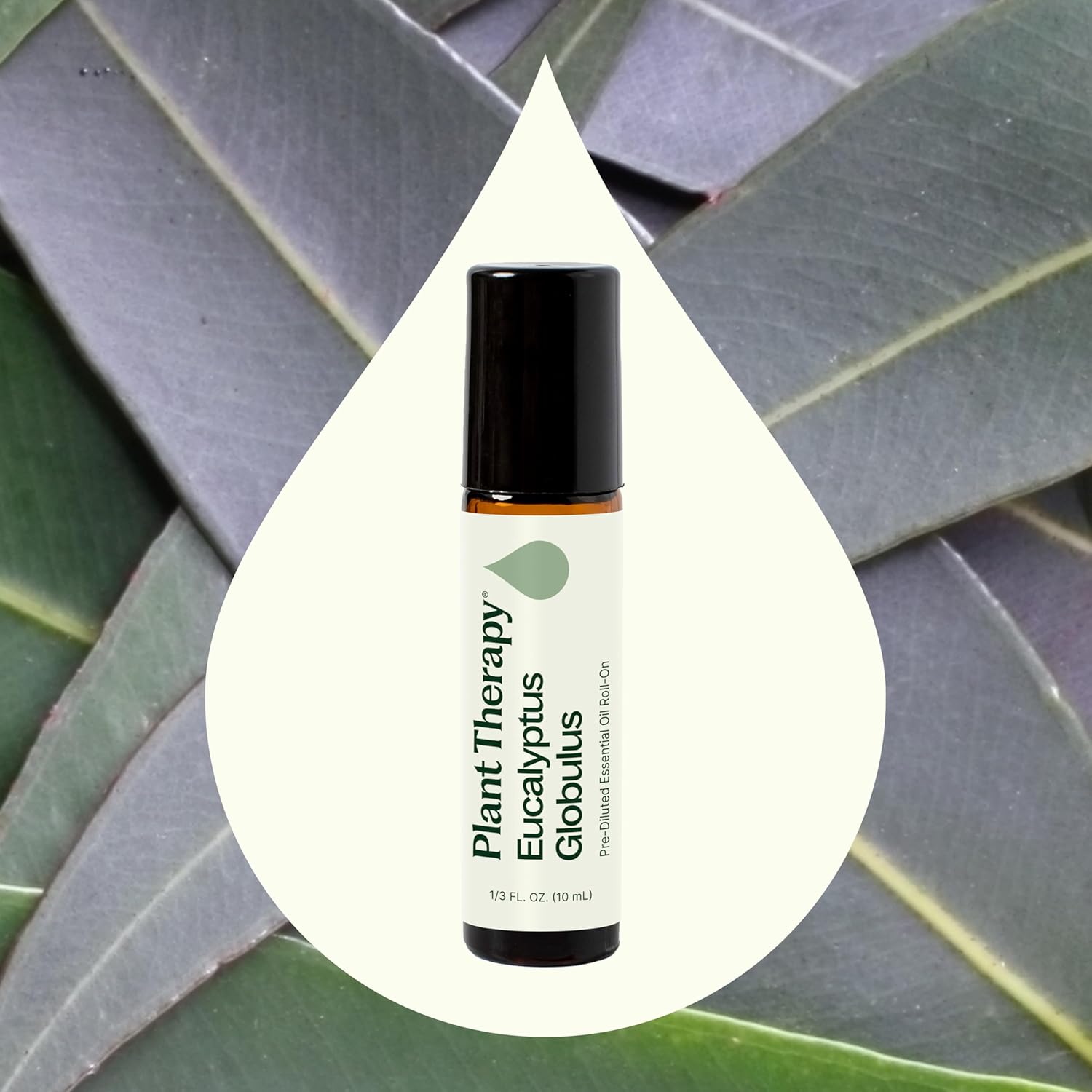 Plant Therapy Eucalyptus Pre-Diluted Essential Oil Roll-On 10mL (1/3 oz), 100% Pure, for Clear Breathing, Aromatherapy and Topical Use (Pack of 2)