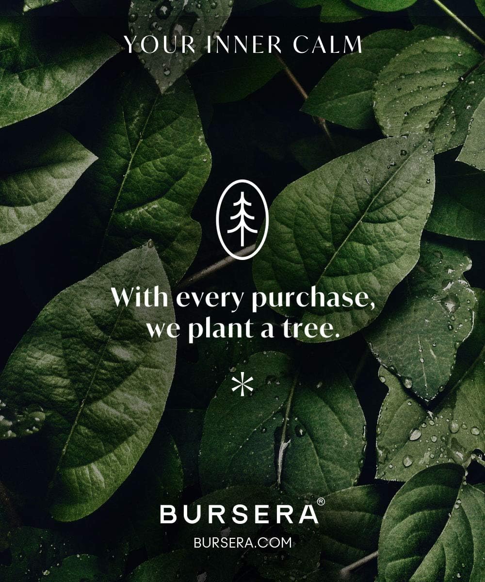 Bursera Tea Tree Essential Oil, Tree Planted with Every Order, 100% Pure Australian Tea Tree Oil, 10ml Undiluted High Grade Natural Tea Tree Oils for Diffuser, Shower, Skin and Aromatherapy
