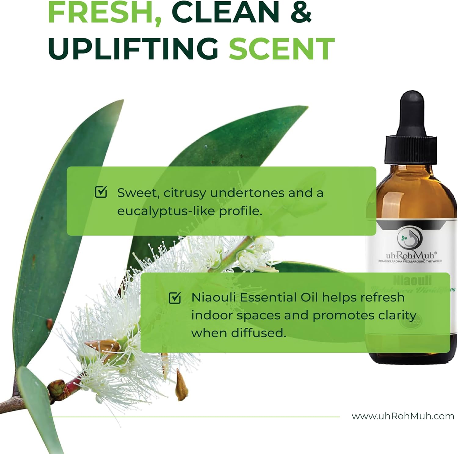 Niaouli Essential Oil – 100% Pure & Natural, Steam Distilled from Melaleuca viridiflora Leaves | Fresh Camphoraceous Aroma for Respiratory Support, Skincare & Diffusion | from Madagascar | 1 Fl Oz