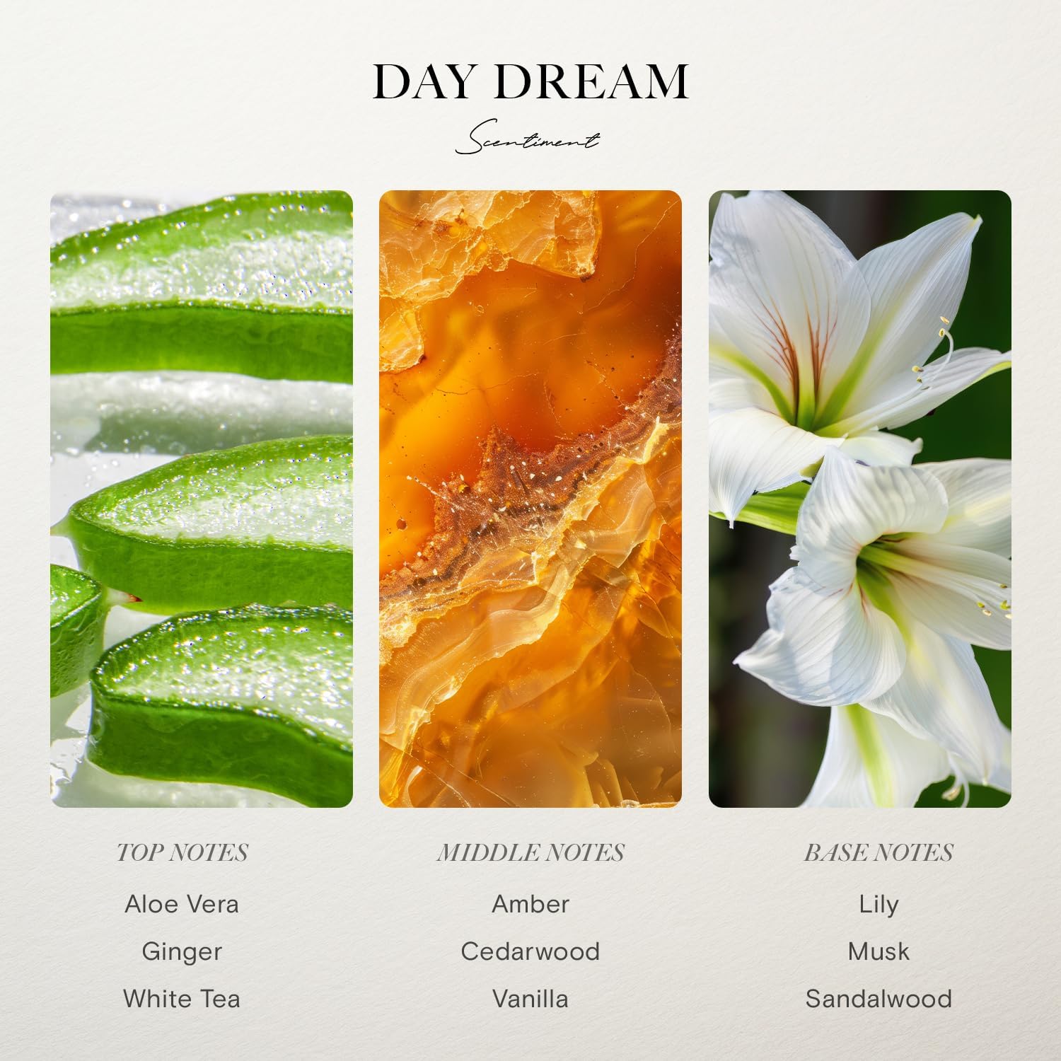 Scentiment Day Dream Diffuser Oil - Premium Hotel Scent with Notes of Aloe Vera, Cedar & White Tea Home Scent, Home Scent, Hotel Fragrance Oil Diffuser Refill - 16.91 fl oz (500 mL)