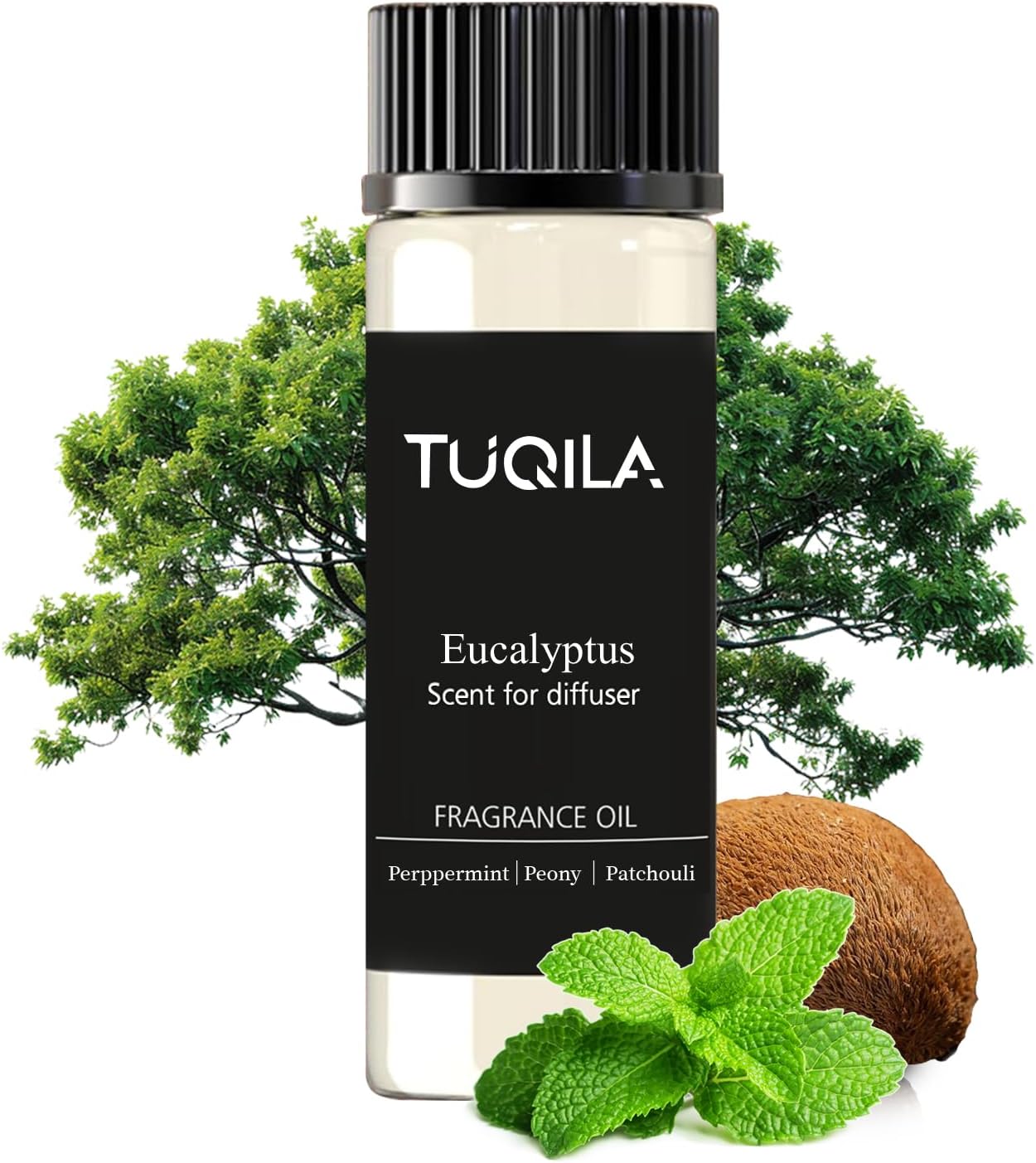 Waterless Essential Oil 20ml Eucalyptus Hotel Scent- Lemon, Bergamot, Ocean, Jasmine, Amber& Musk Fragrance for Home, Hotel, Office, Car Aroma Scent Oils for Diffusers