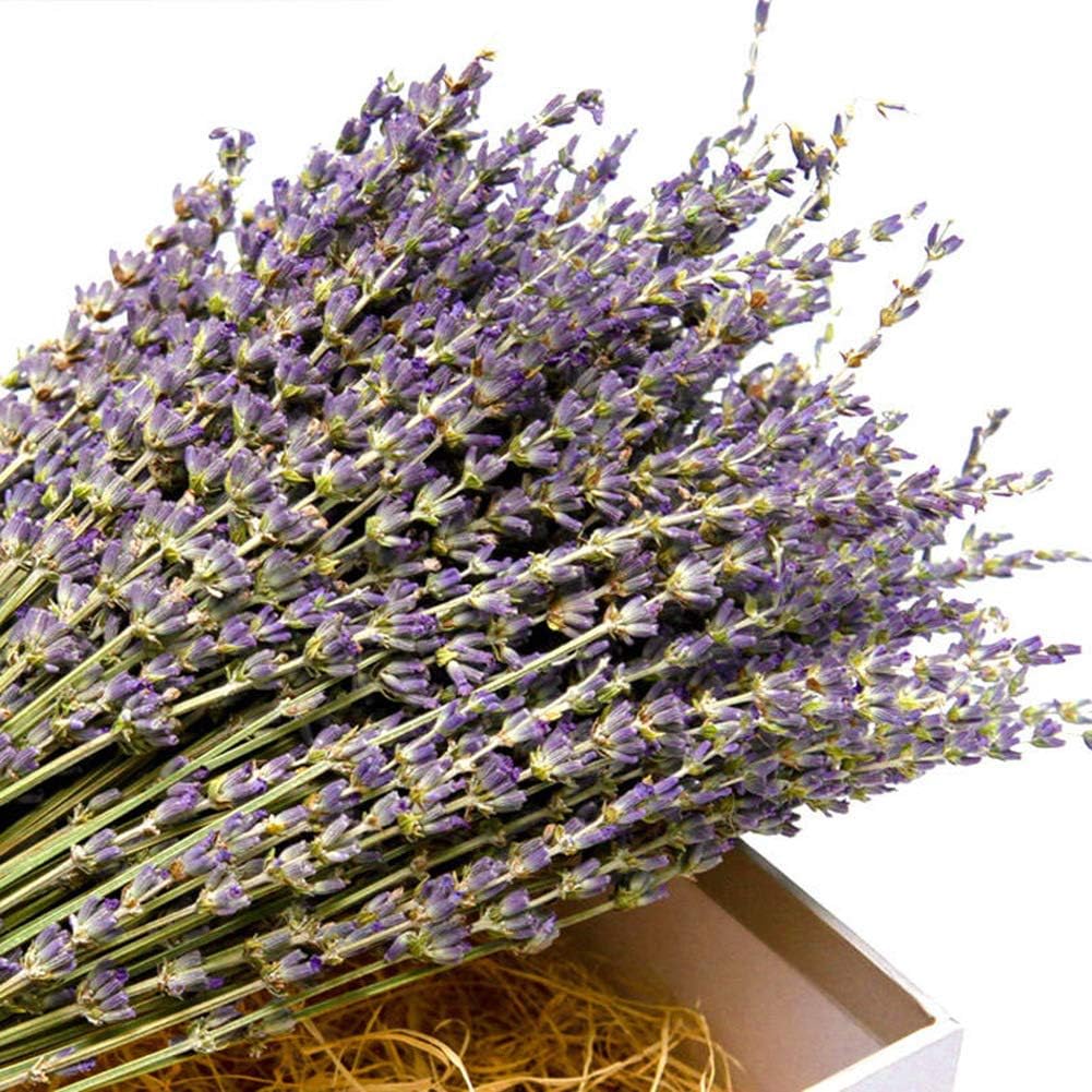 TooGet Natural Lavender Bundles, Freshly Harvested 200+ Stems Dried Lavender Bunch 16" - 18" Long, Decorative Flowers Bouquet for Home Decor, Crafts, Gift, Wedding or Any Occasion