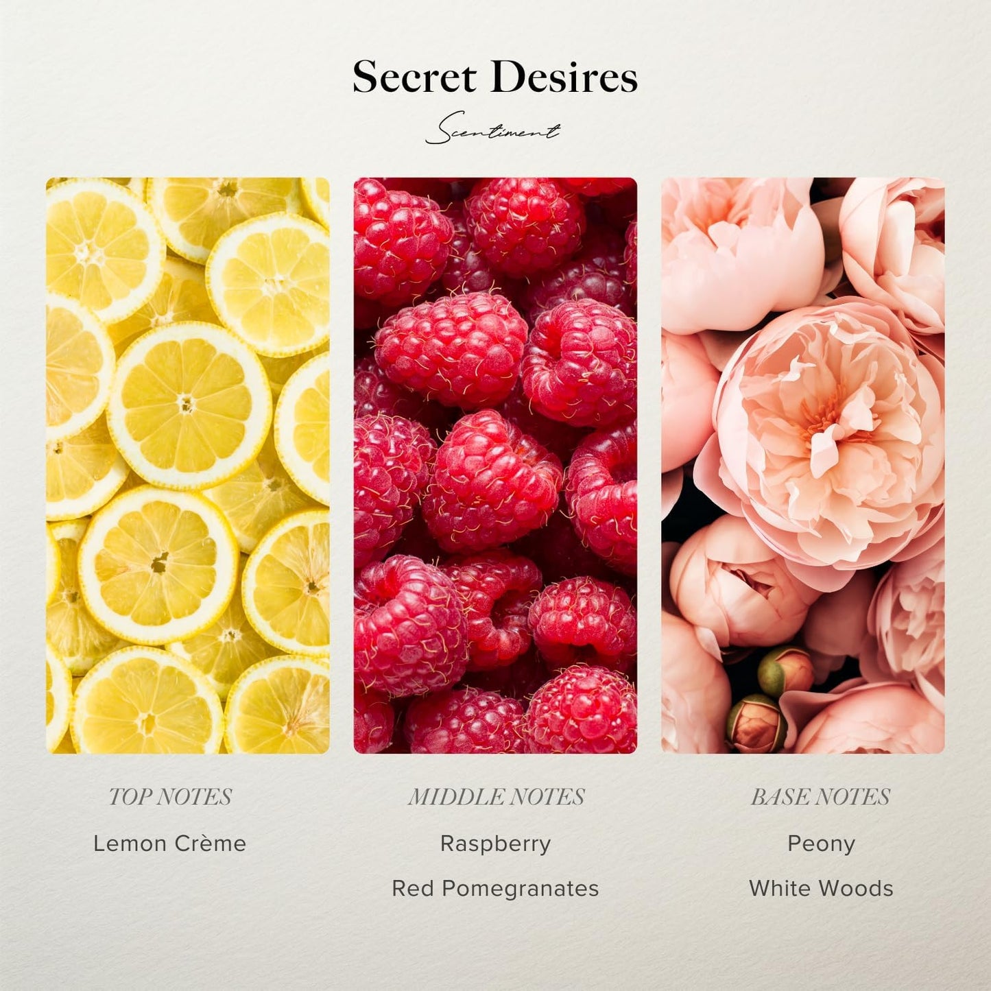 Scentiment Secret Desires Diffuser Oil - Premium Hotel Scent with Notes of Peony, Pomegranate & White Woods Home Scent, Hotel Fragrance Oil Diffuser Refill - 16.91 fl oz (500 mL)