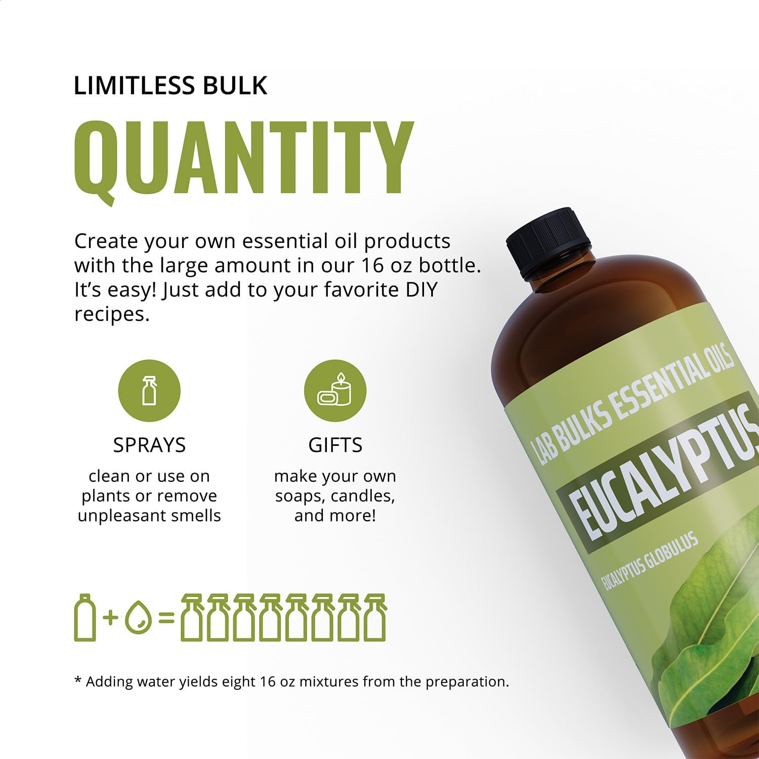 Lab Bulks Essential Oil Eucalyptus Essential Oil (2 Pack) for Diffusers, Home Care, Candles, Aromatherapy, 16 oz Bulk Bottle, Eucalyptus Oil Spray