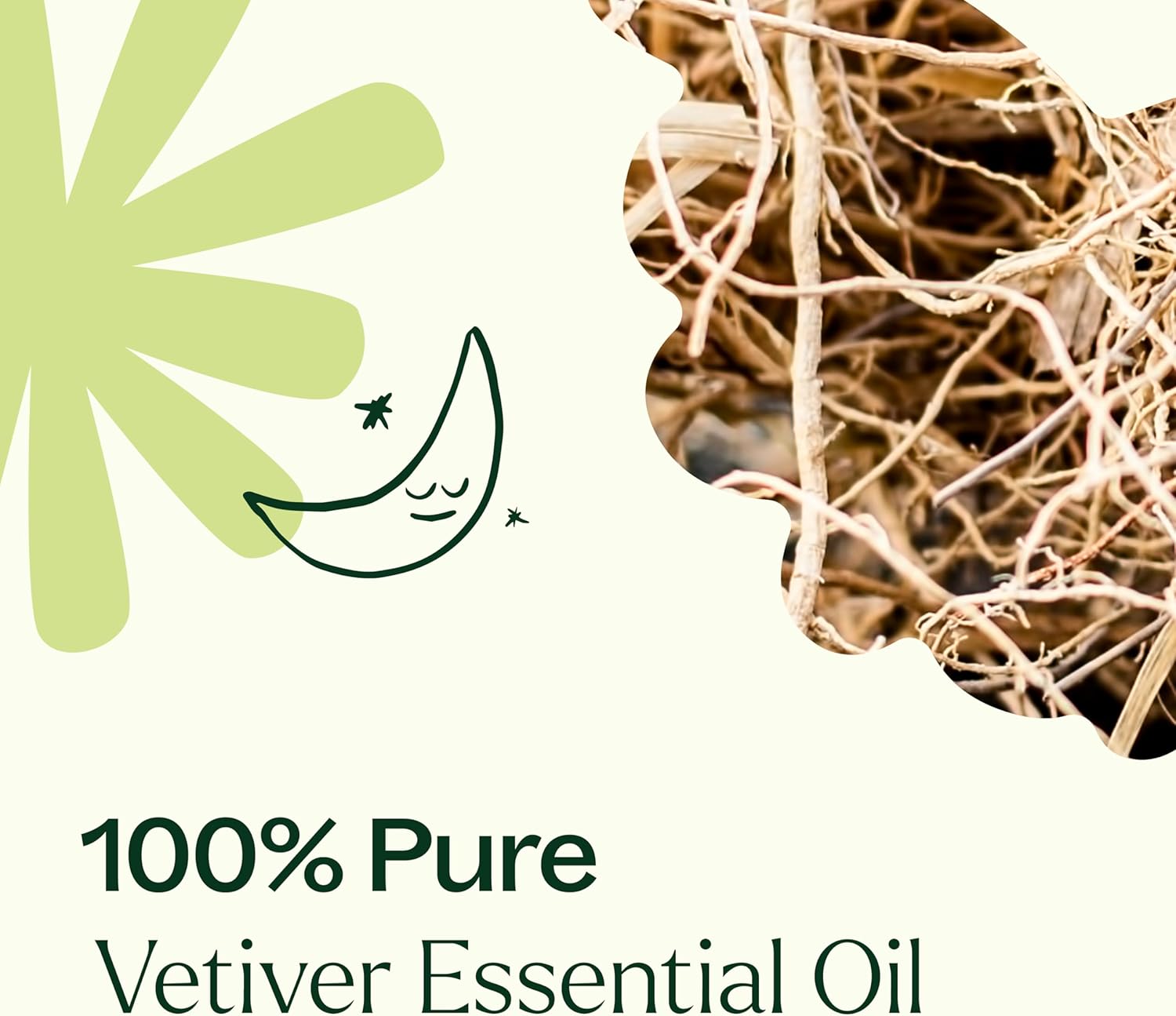 Plant Therapy Vetiver Essential Oil, 10 mL (1/3 oz), 100% Pure and Undiluted, Great for Essential Oil Diffusers and DIY Skincare