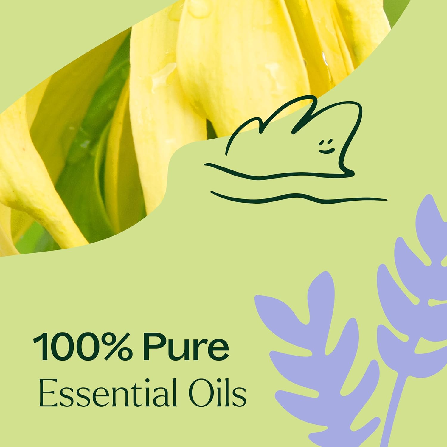 Plant Therapy Sleep Aid Essential Oil Blend 10 mL (1/3 oz) 100% Pure, Undiluted, Relaxing Aromatherapy for Better Sleep