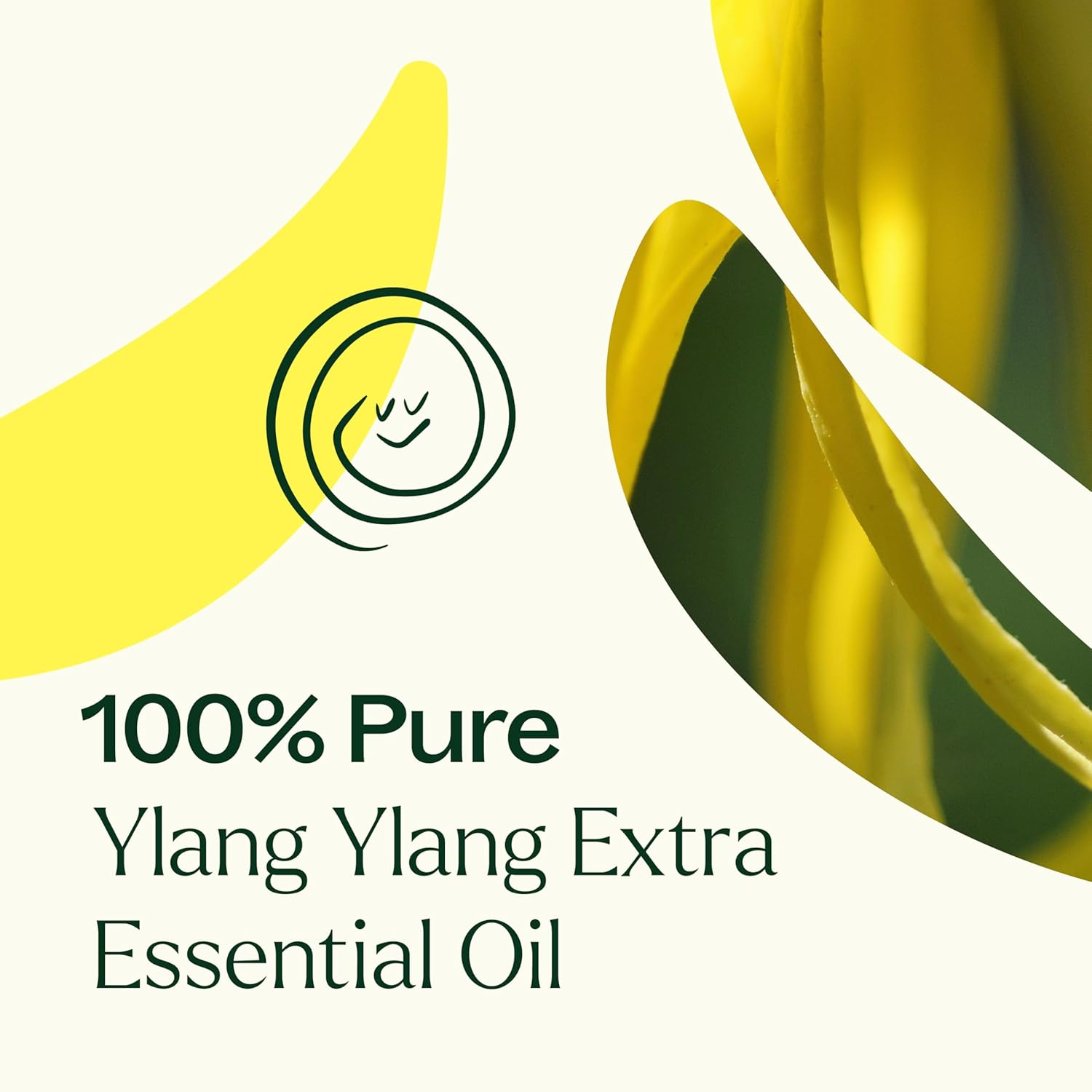 Plant Therapy Ylang Ylang Extra Essential Oil 10 mL (1/3 oz) 100% Pure, Undiluted, for Calming Aromatherapy, Romantic Gift