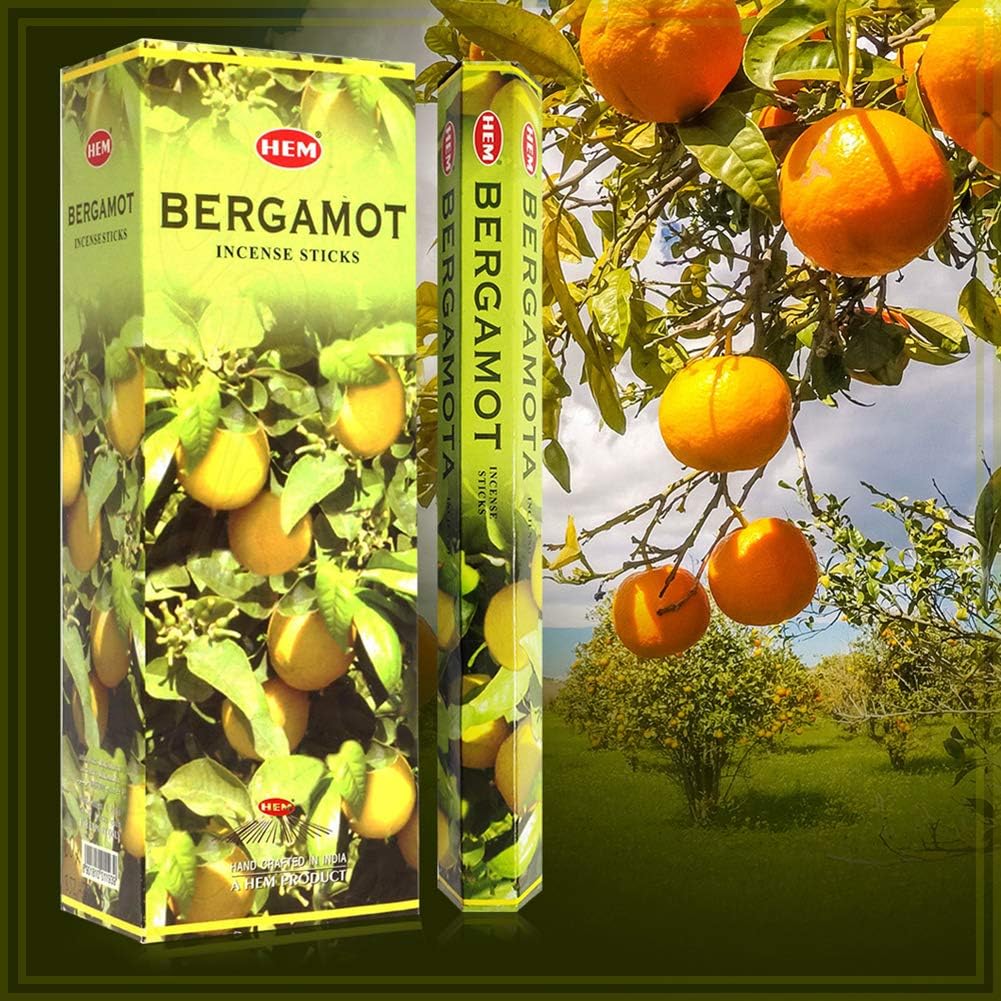 Bergamot Incense Sticks and Incense Stick Holder Bundle Insence Insense Hem Incense Sticks
