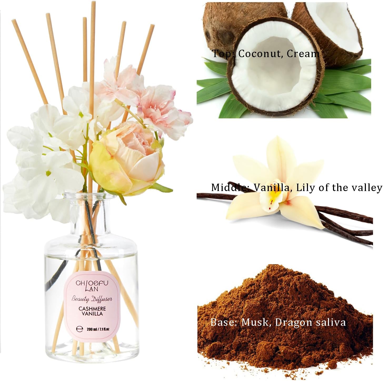 Cashmere Vanilla Reéd Diffuser Set with Flowers Reéd Diffuser Sticks, 6.7oz Scent Fragrance Essential Oil Diffuser for Bedroom Bathroom Home Décor Shelf Decor