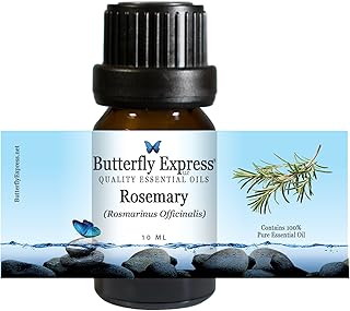 Rosemary Essential Oil 10ml - 100% Pure - by Butterfly Express