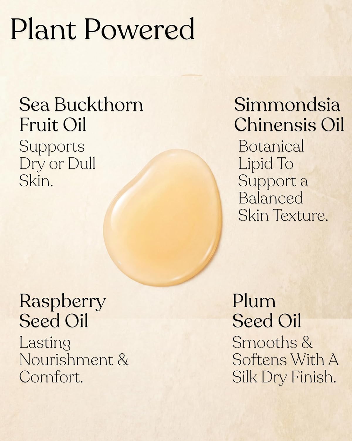 All In One AuraLeaf Elixir, Superfood Facial Oil, Deep Renewal for Dry Skin, Sparkling Mandarine Floral Cloud Scent, Refined Plum Seed & Raspberry Oil, Sea Buckthorn Fruit Oil, Vegan