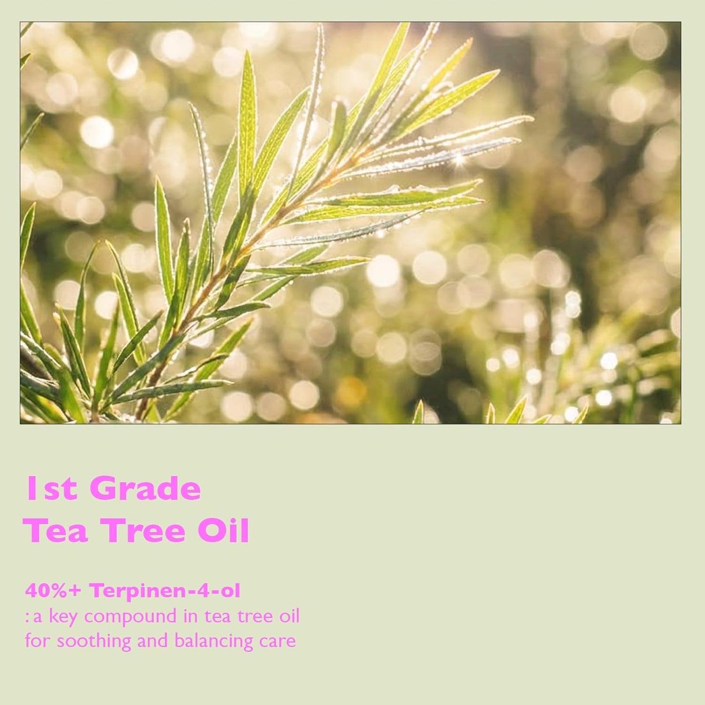 Calm Down Spot Roll-on with Tea Tree Oil - 100% Australian Sourced Tea Tree for Stressed Skin Relief - 0.19 fl oz(5.5ml)