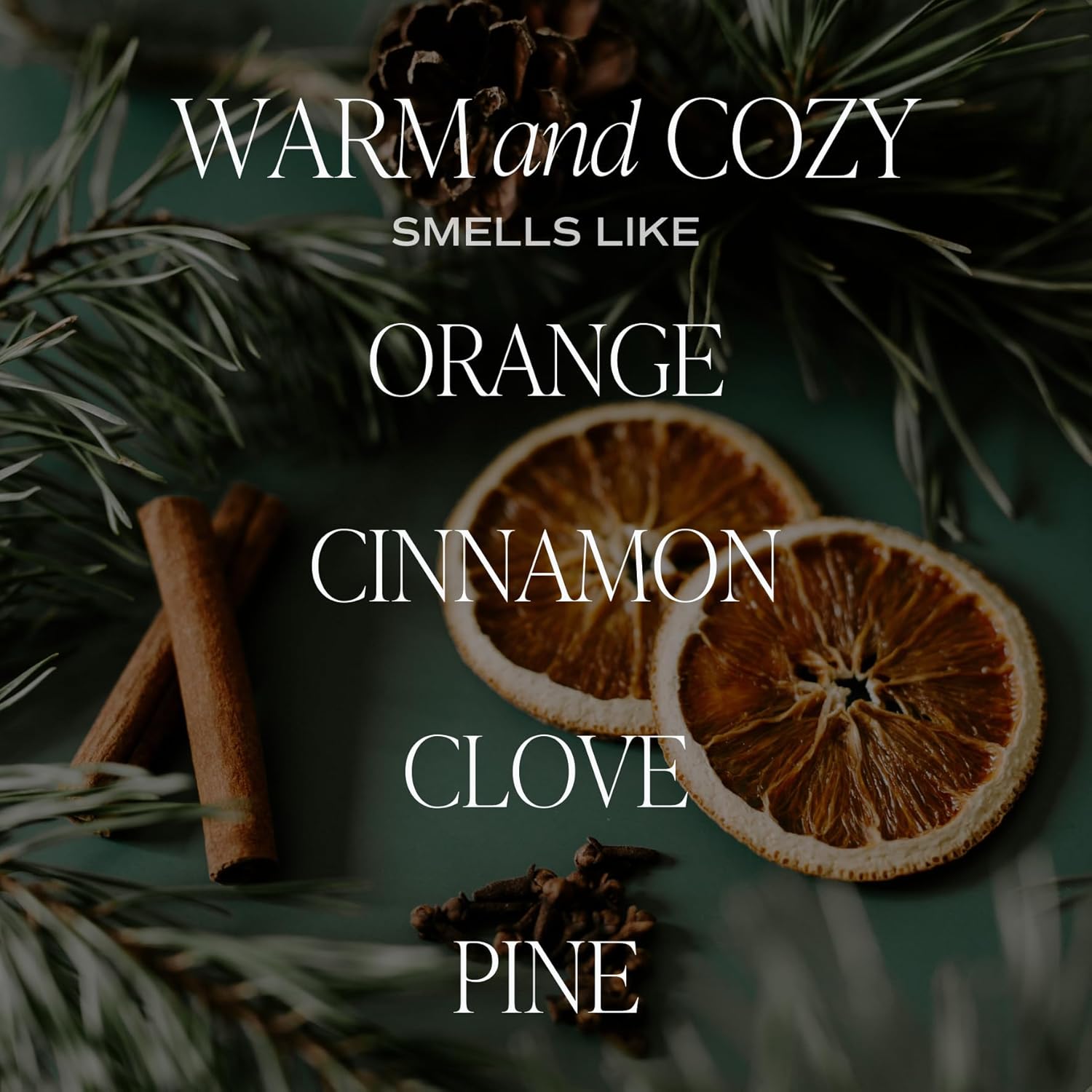 Sweet Water Decor Warm and Cozy Soy Candle - Orange Peel, Cinnamon, Ginger and Clove Scented Candles for Home - 9oz Amber Jar + Black Lid, 40+ Hour Burn Time, Made in the USA