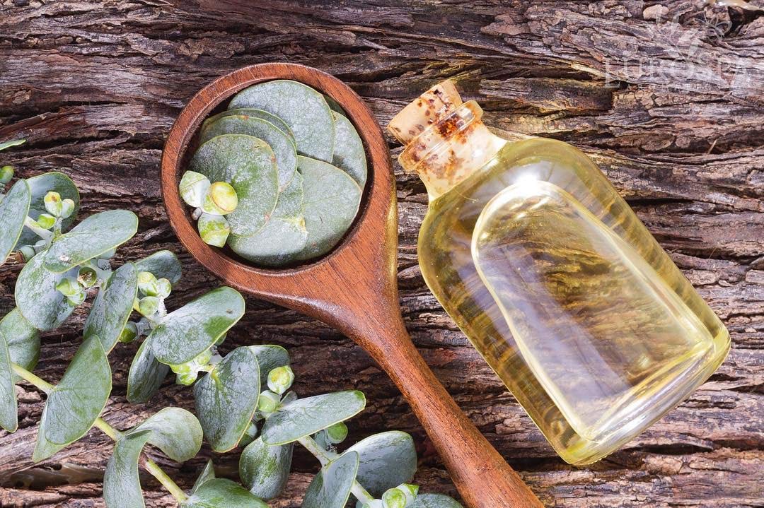 EuroSpa Aromatics Pure Eucalyptus Oil ShowerMist and Steam Room Spray