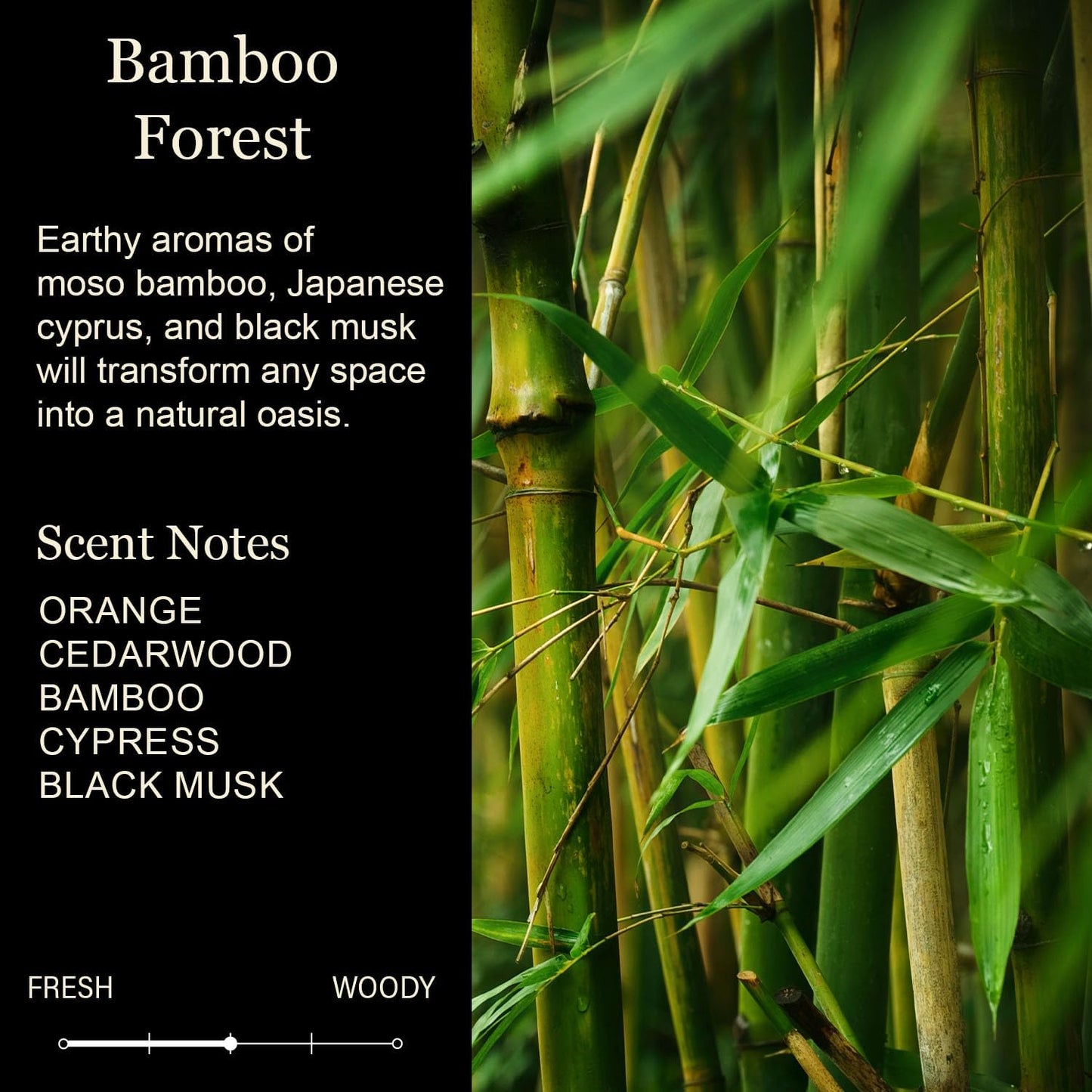 Cedar Crate Market - The Hours are Really Good - Retirement Gift for Woman, Retirement Gifts for Men, Ideal for Party Decorations, Thoughtful Present, 9oz Bamboo Cypress Scented Soy Candle