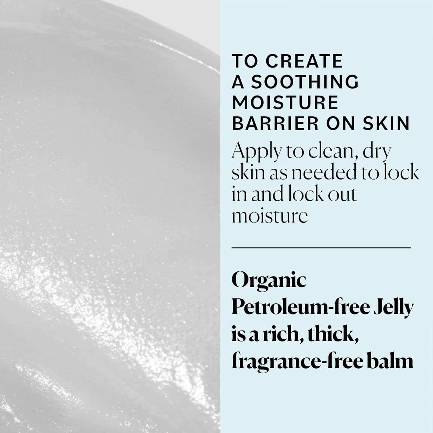 Sky Organics Organic Petroleum-free Jelly, Multi-Purpose Skin Care Balm with Organic Shea Butter, Coconut Oil, Olive Oil & Vitamin E, Moisturizing Lip Balm & Moisturizer for Dry Skin, 2.5 Oz