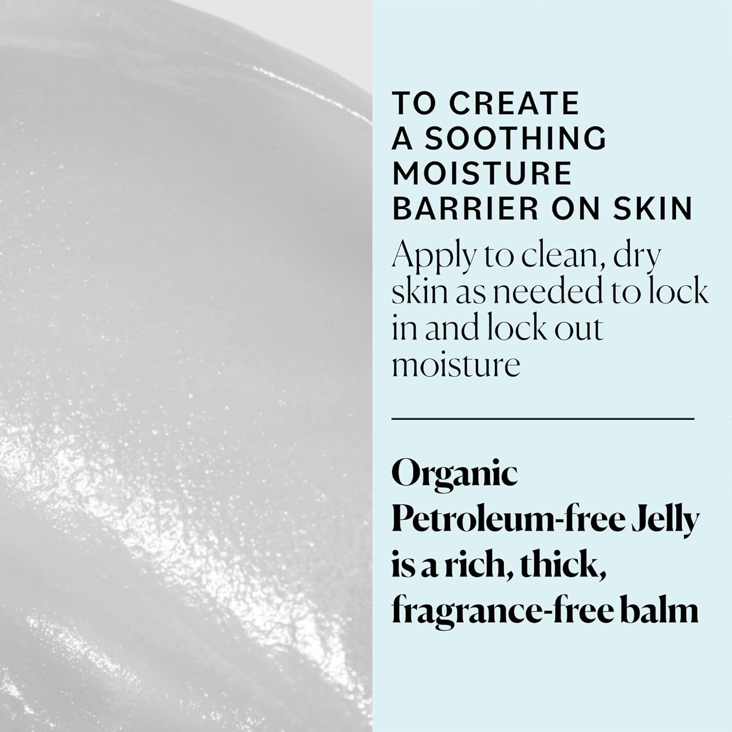 Sky Organics Organic Petroleum-free Jelly, Multi-Purpose Skin Care Balm with Organic Shea Butter, Coconut Oil, Olive Oil & Vitamin E, Moisturizing Lip Balm & Moisturizer for Dry Skin, 2.5 Oz