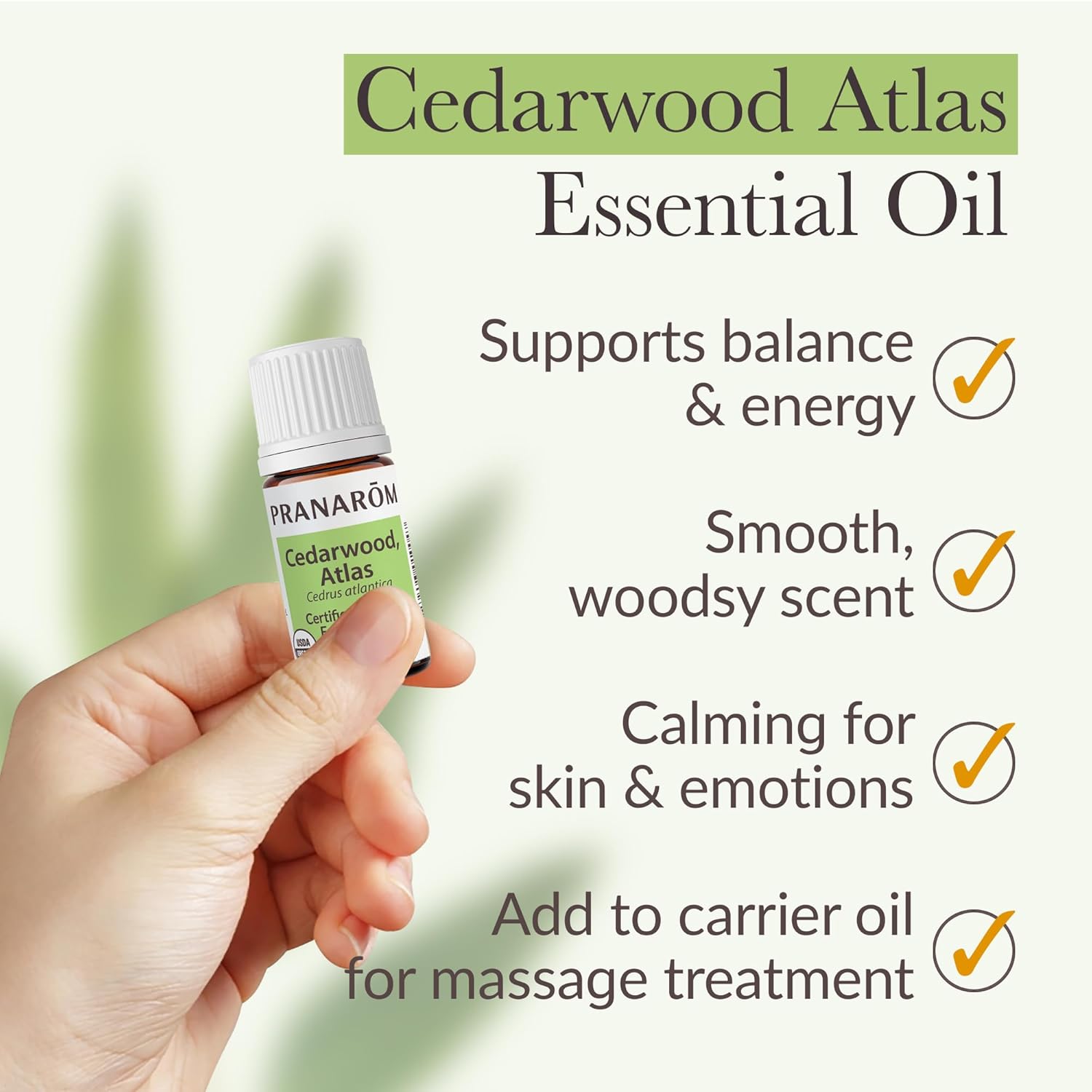Pranarom - Cedarwood, Atlas Essential Oil 5ml - for Skincare Enthusiasts - Moisturizing Skin After Showering - Calming Woodsy Aroma - 100% Pure, Certified Organic