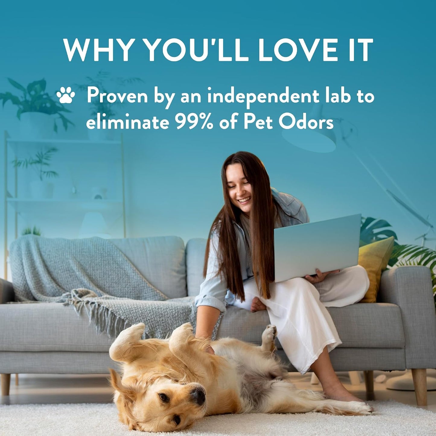 Pet’s Favorite Room Spray 8 OZ Concentrated Air Freshener for Home with a Clean, Light Scent, Common Household and Pet Odor Spray, Clean Laundry - Pack of 1