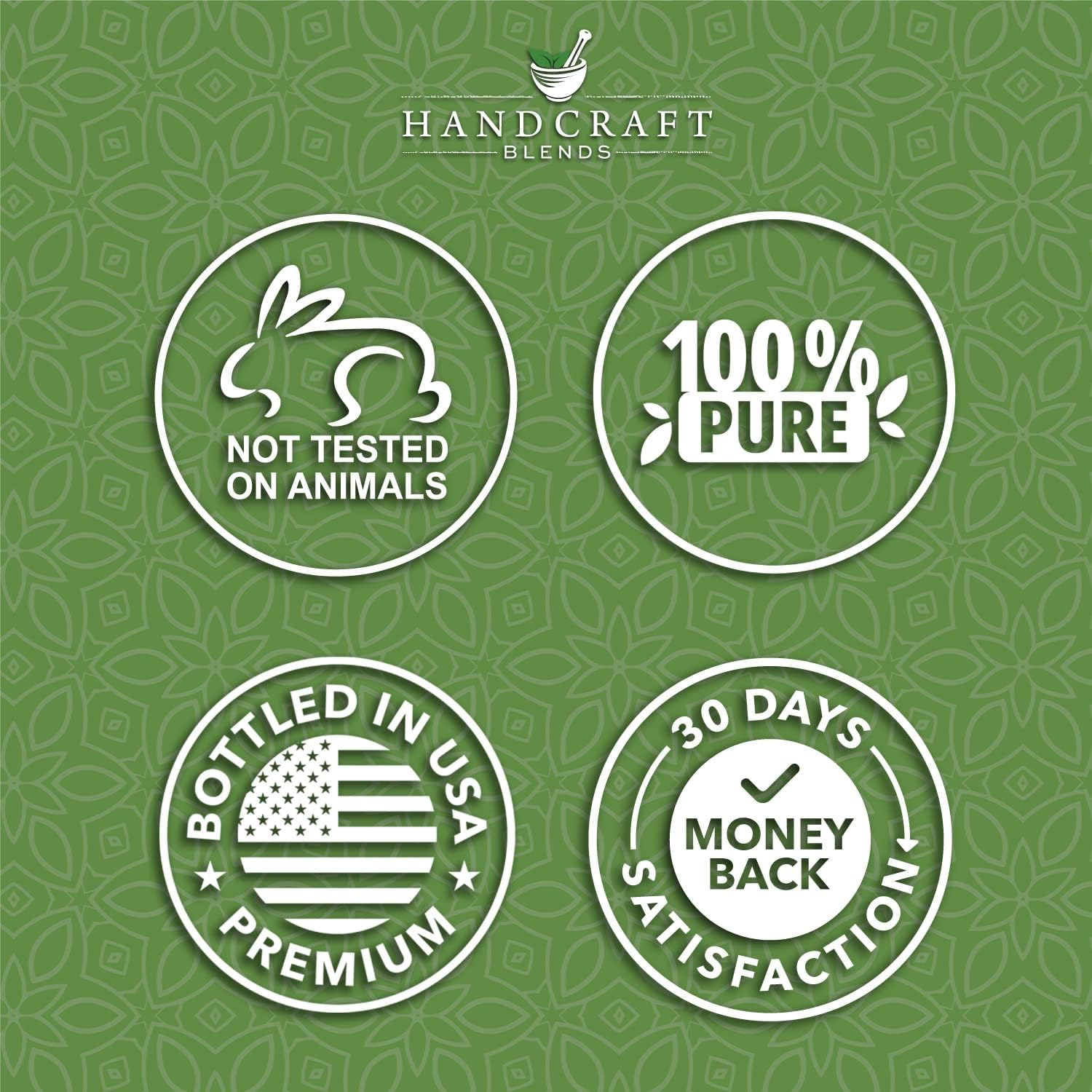 Handcraft Blends Herbal Focus Set: Peppermint and Rosemary Essential Oils – (2 x 4 Fl Oz) – 100% Pure & Natural – for Diffuser, Aromatherapy, and DIY Projects