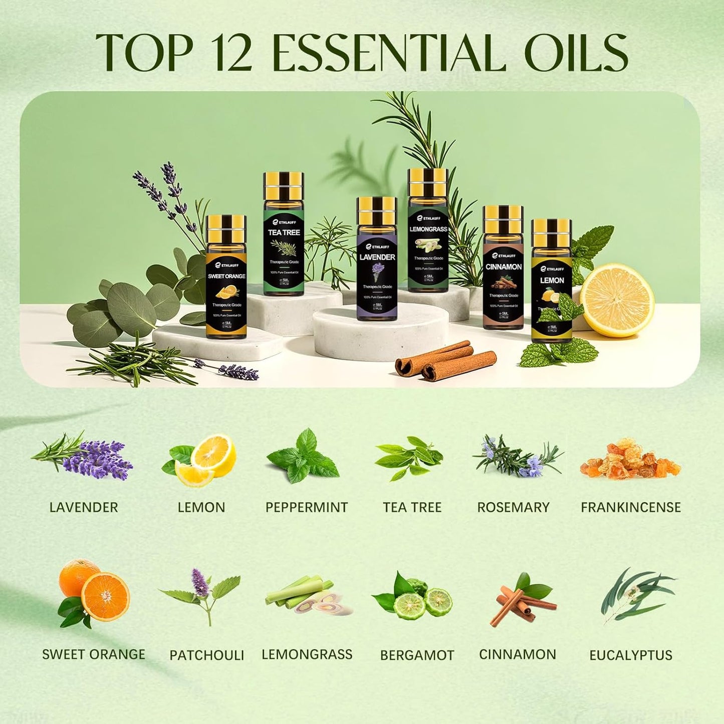 Essential Oils Set, 12 pcs Pure Essential Oil for Diffuser, Humidifiers, Skin Care, Massage, Fragrance Oil Scent for DIY Candle and Soap Making, Gift for Friend