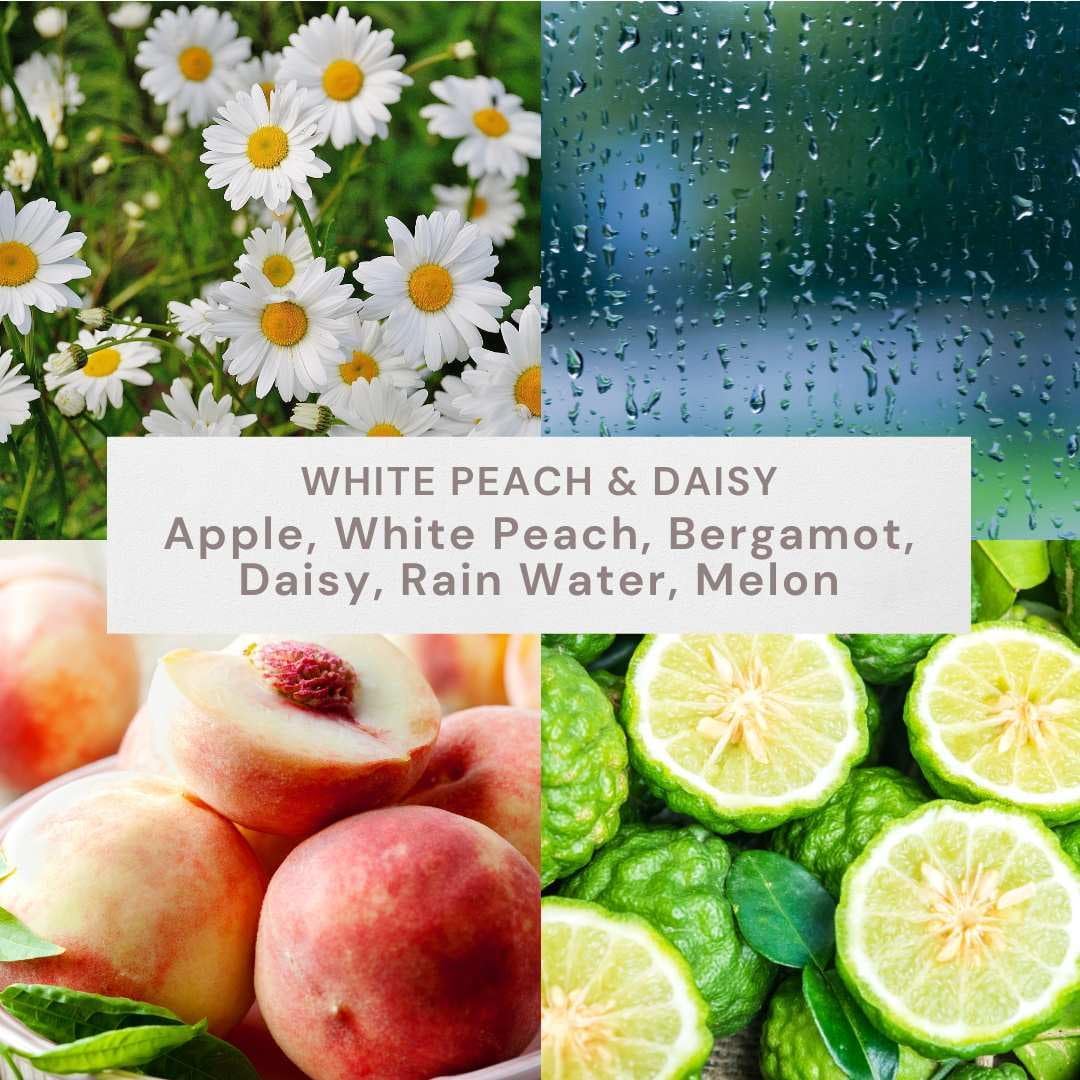 Scented 2-Wick Ombre Jar Candle 12oz (White Peach Daisy)