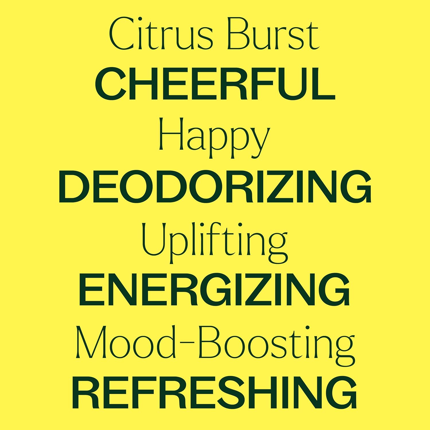 Plant Therapy Citrus Burst Essential Oil Blend, 30 mL (1 oz), Made with 100% Pure Essential Oils, Uplifting and Bright Scent, Great for Essential Oil Diffusers