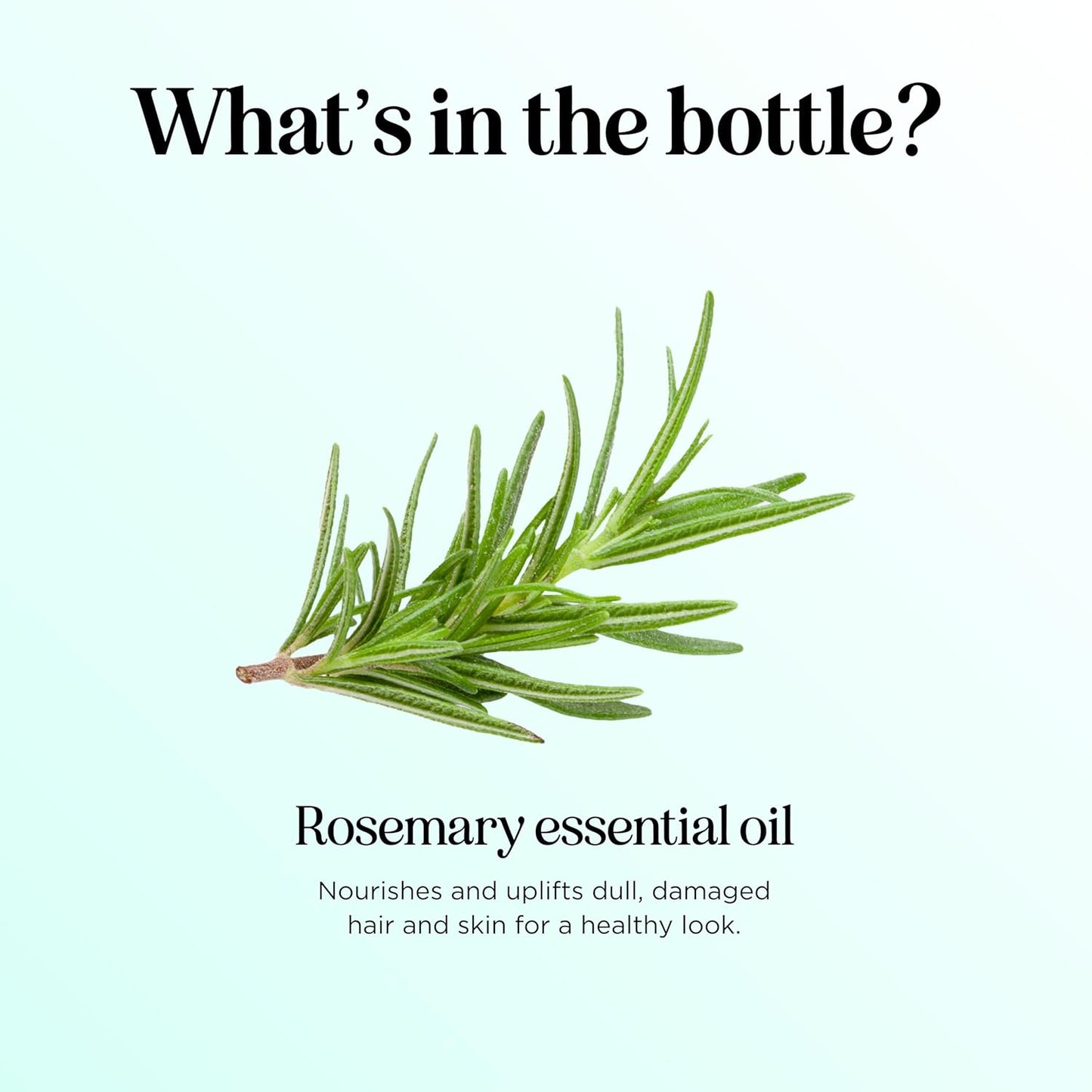 Pure Rosemary Essential Oil with Dropper - Undiluted Rosemary Oil for Hair Skin and Nails and Refreshing Aromatherapy Oil for Diffusers - Rosemary Essential Oil for Cleansing Dry Scalp Care 4oz
