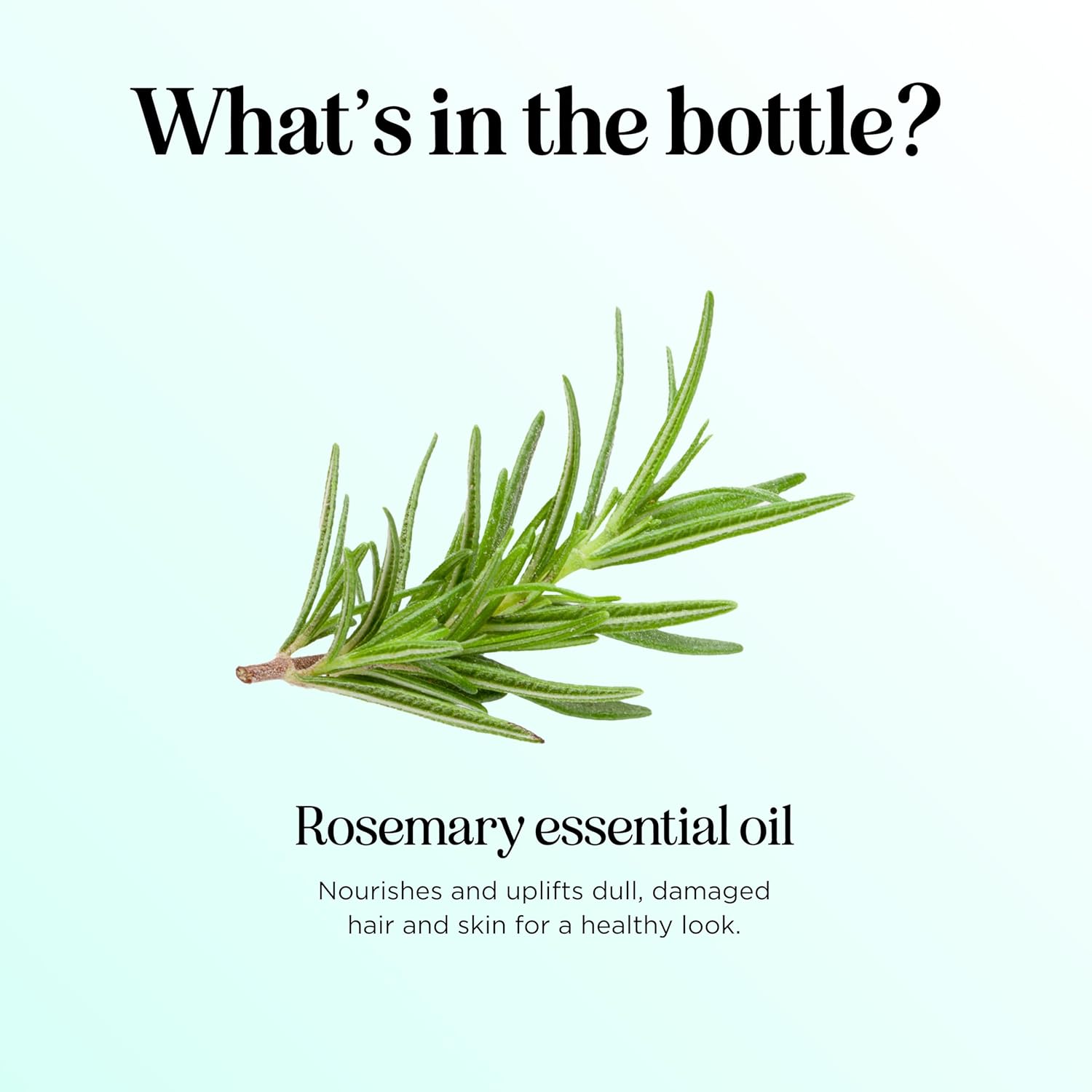Pure Rosemary Essential Oil with Dropper - Undiluted Rosemary Oil for Hair Skin and Nails and Refreshing Aromatherapy Oil for Diffusers - Rosemary Essential Oil for Cleansing Dry Scalp Care 4oz