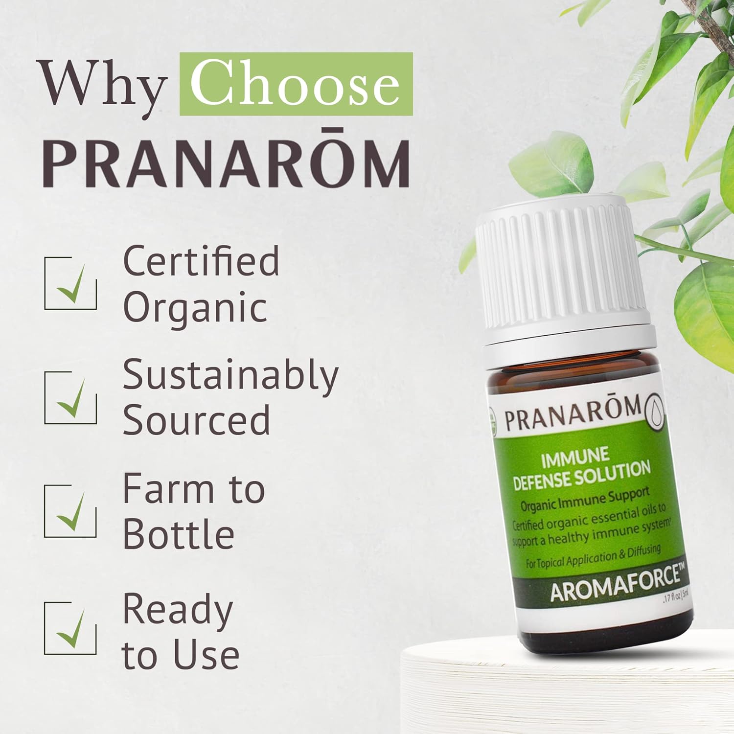 Pranarom - Aromaforce Immune Defence Wellness Blend - Eucalyptus, Rosemary, Peppermint, Corriander, and Clove Bud - 100% Pure Essential Oil Blend | USDA and ECOCERT Certified Organic (5ml)