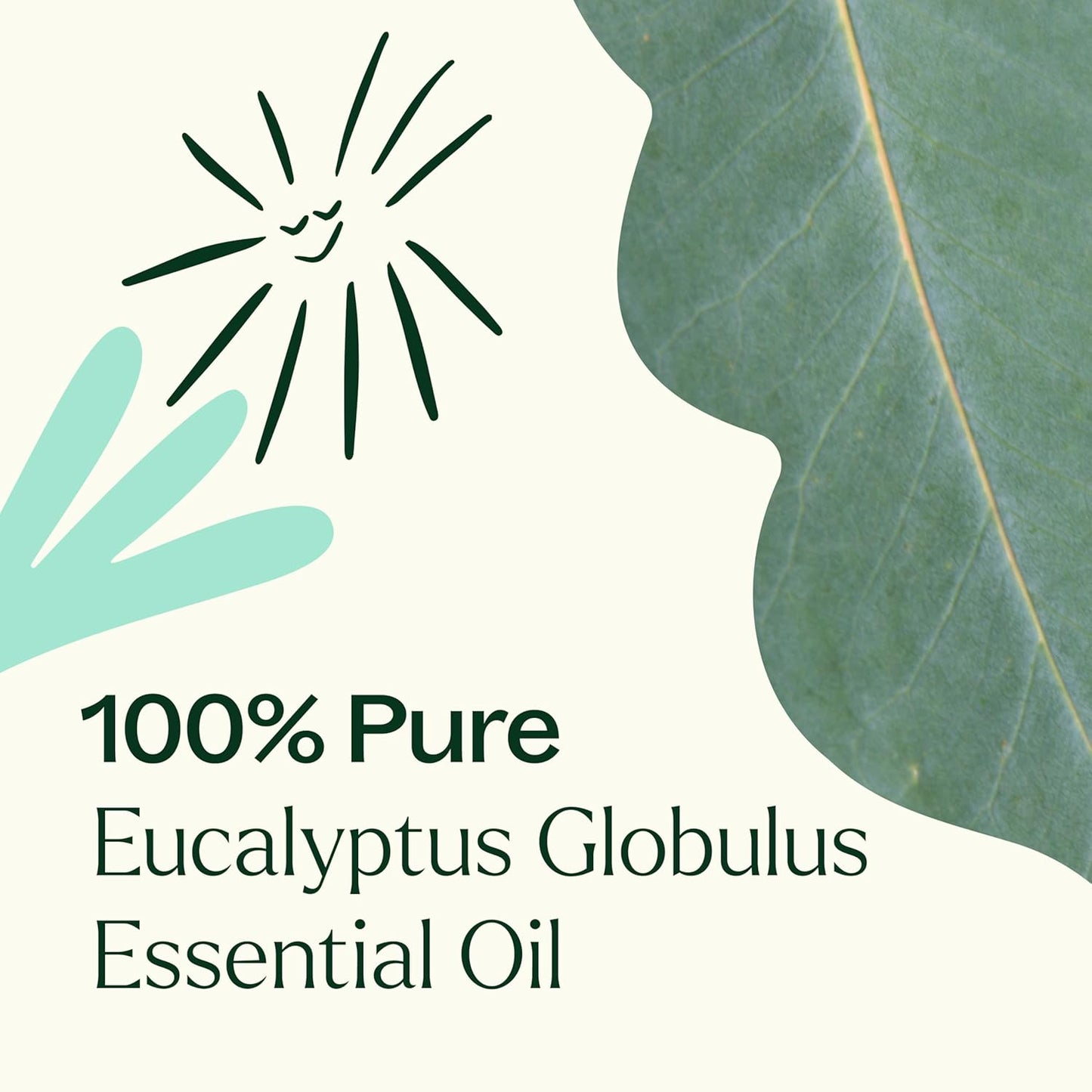 Plant Therapy Eucalyptus Globulus Essential Oil, 100 mL (3.3 oz), for Diffuser, Skin, Hair, Aromatherapy DIYs, and Clear Breathing, 100% Pure and Undiluted