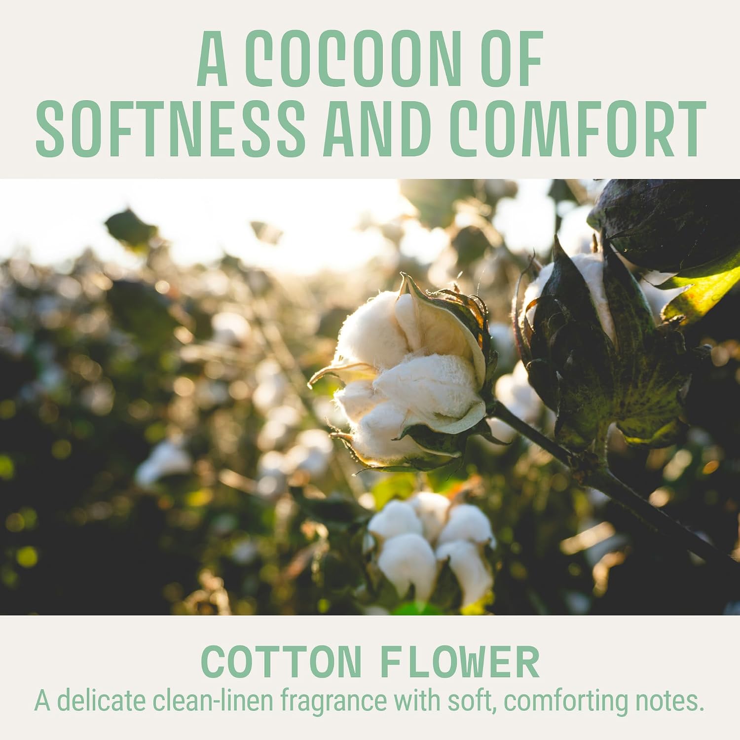 Panier des Sens Cotton Flower Scented Sachets, 2-Pack, 1 oz | Made In France Scented Sachets | For Drawers, Closets, Linens & Wardrobes | Long-Lasting Fragrance For Small Spaces