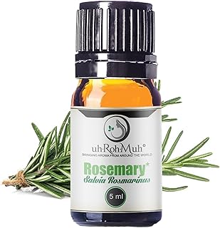 Organic Rosemary Essential Oil ct Camphor | 100% Pure Steam Distilled Aromatic Oil from Salvia rosmarinus Leaves | Fresh Herbaceous Camphor Aroma for Diffusers, Haircare | Spain 5ml w/Euro Dropper