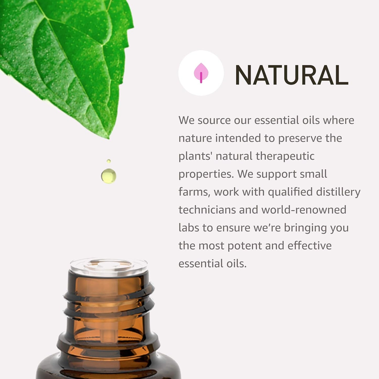 Rocky Mountain Oils