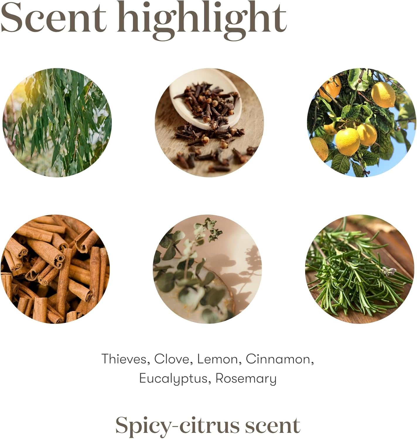 Thieves 5ml Essential Oil by Young Living Essential Oils