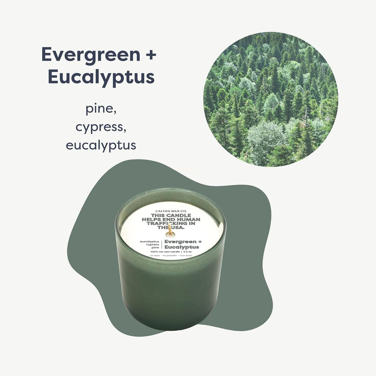 Calyan Wax Co. Dignity Series Evergreen & Eucalyptus Bourbon Scented Candle