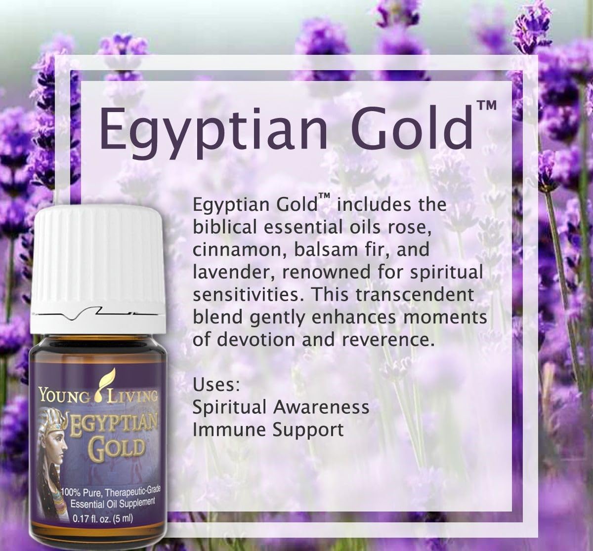 Young Living - Egyptian Gold Essential Oil 5 ml | Ancient Biblical Oils | Aromatic Devotion Blend | Exotic Musky Aroma | Spiritual Aromatherapy for Meditation & Relaxation