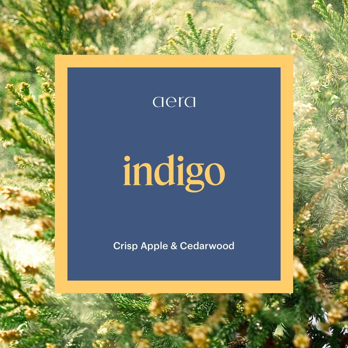 Aera Go Indigo Car Fragrance Scent Refill - Notes of Crisp Apple and Cedarwood - Works with The Aera Go Diffuser for Car