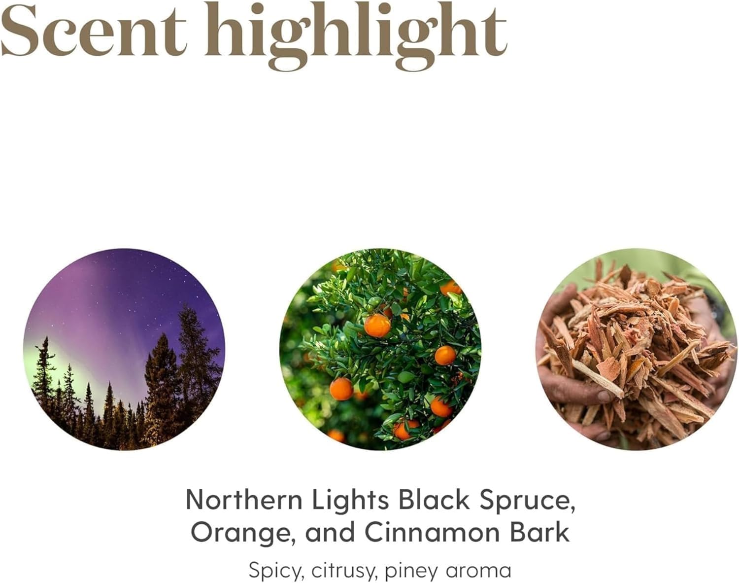 Young Living - Christmas Spirit | Festive Essential Oil Blend for Diffusers | Aromatherapy for Holiday Cheer, Winter Memories, & Natural Air Freshening | 5 ml