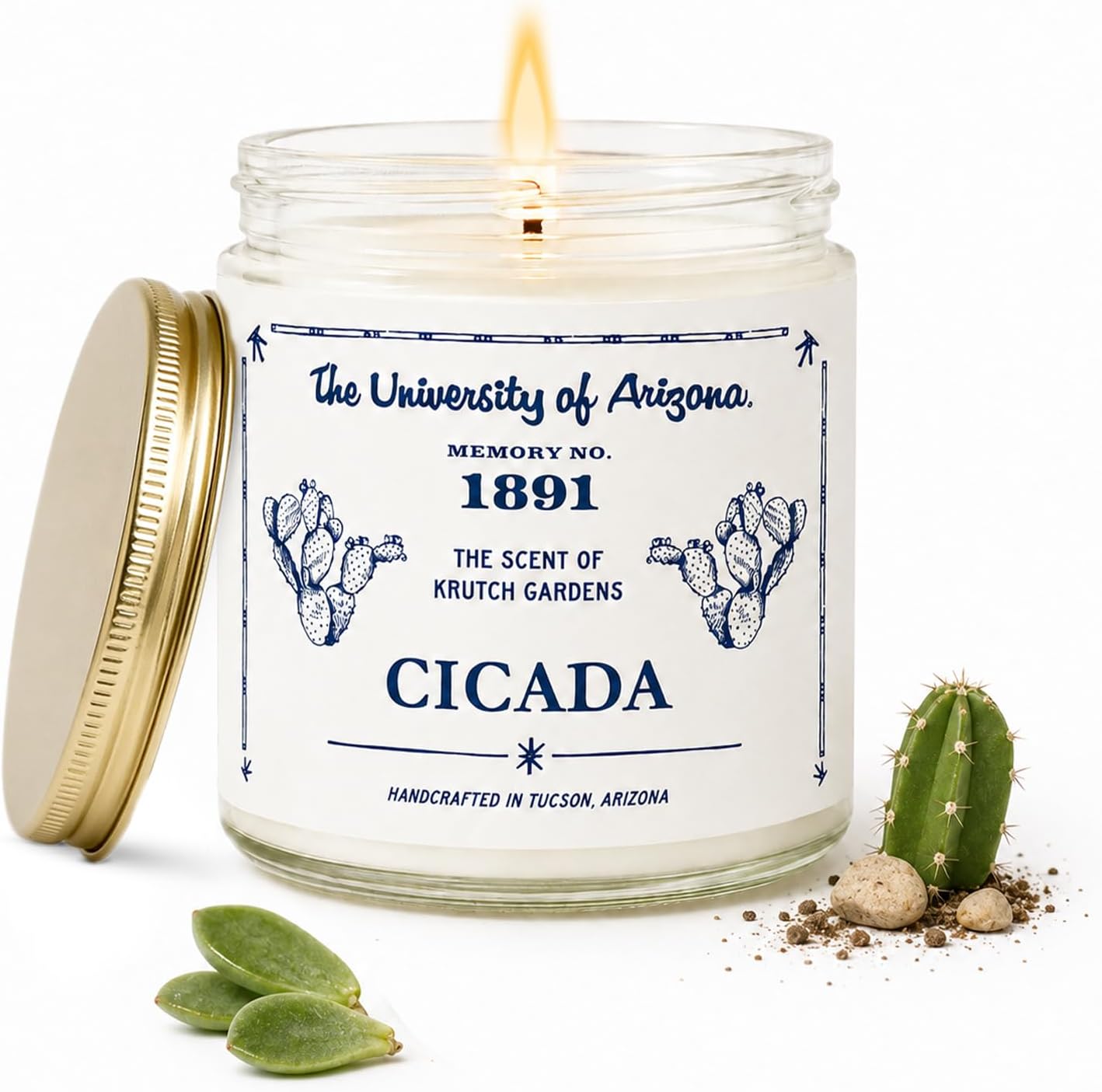 CICADA Succulent Garden Scented Candle Memory No.1891, University of Arizona Inspired Coconut-Soy Blend Wax, Cotton Wick, Cactus Sap Garden Greens Desert Soil Aroma, Hand-Poured Arizona Home Fragrance