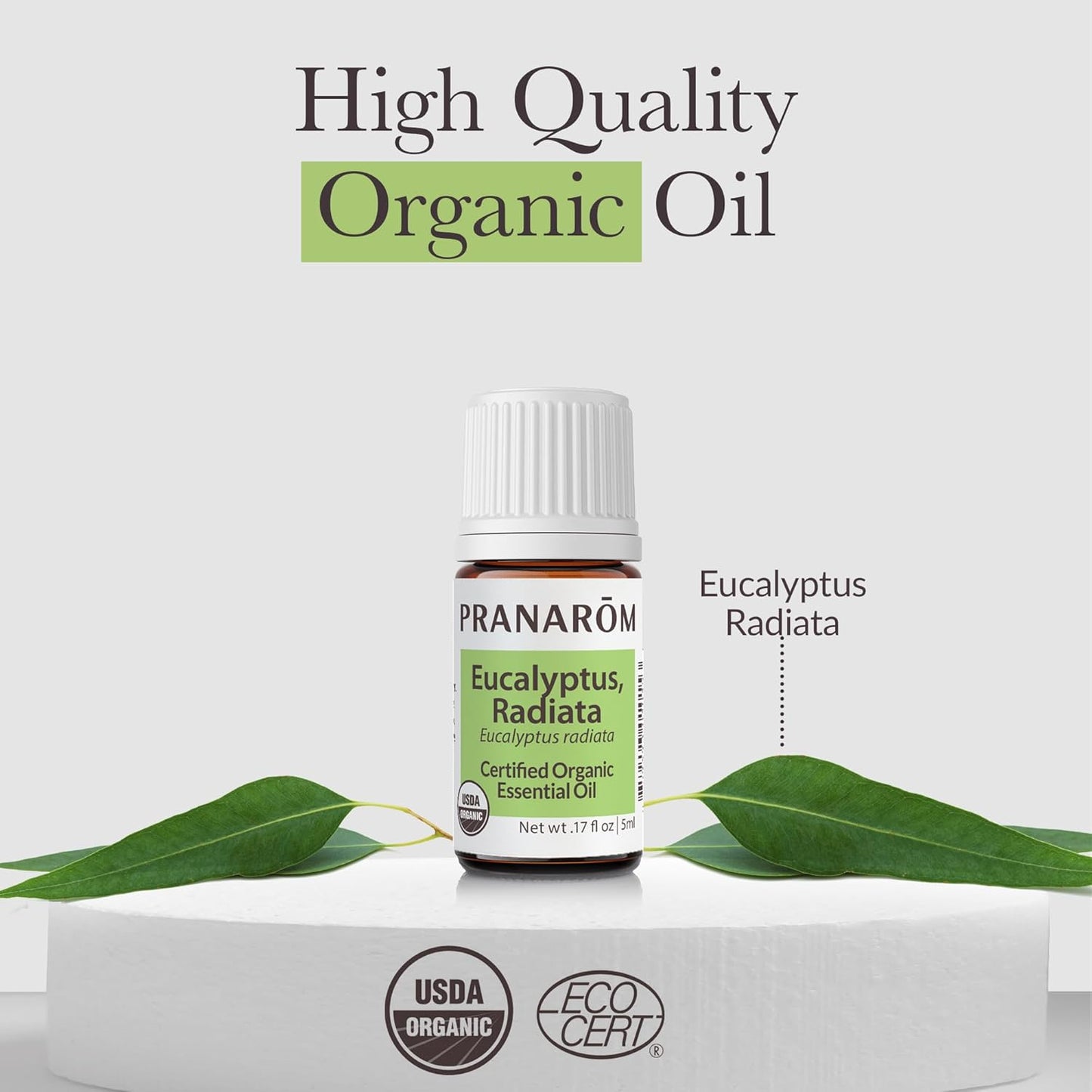 Pranarom - Eucalyptus Radiata Essential Oil 5ml - Diffusing for Relaxation Therapy - 100% Pure Organic Eucalyptus Oil - Gentle for Sensitive Skin