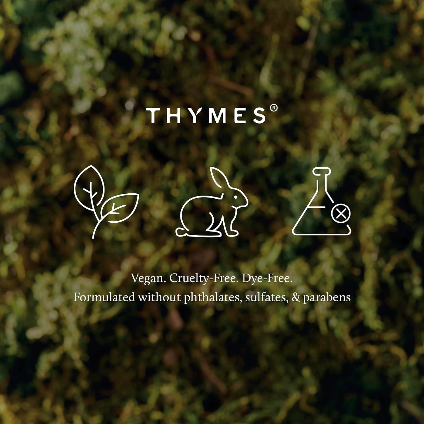 Thymes Scented Candles for Women & Men – Tin with Lid – Luxury Home Decor – Citronella Candles with Notes of Olive Leaf, Lemongrass, & Gardenia – Outdoor Decor (Citronella Grove, 6.5 oz)