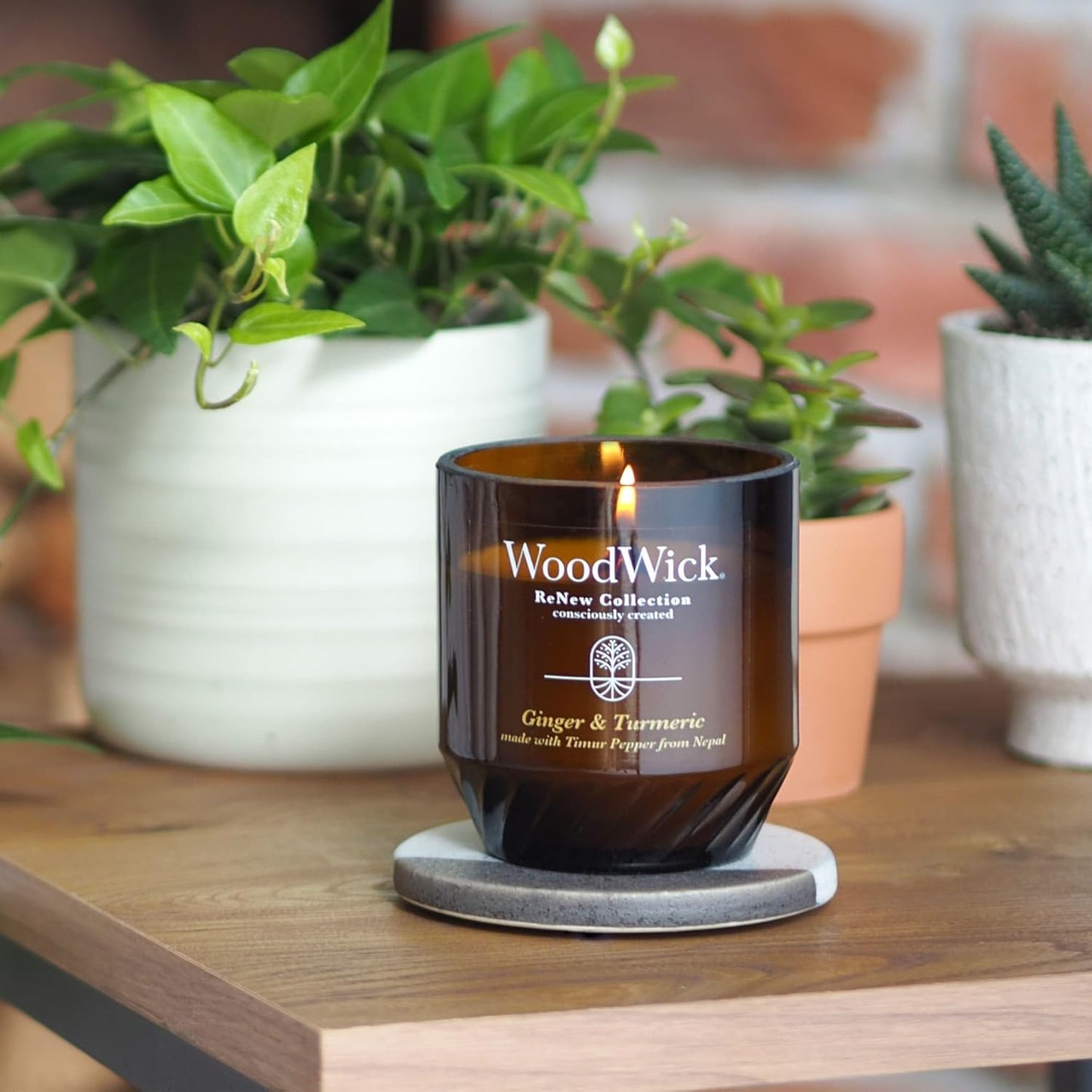 WoodWick Ginger & Turmeric Gifts for Women and Men, 6 oz. Renew Medium Candle with Crackling Wick