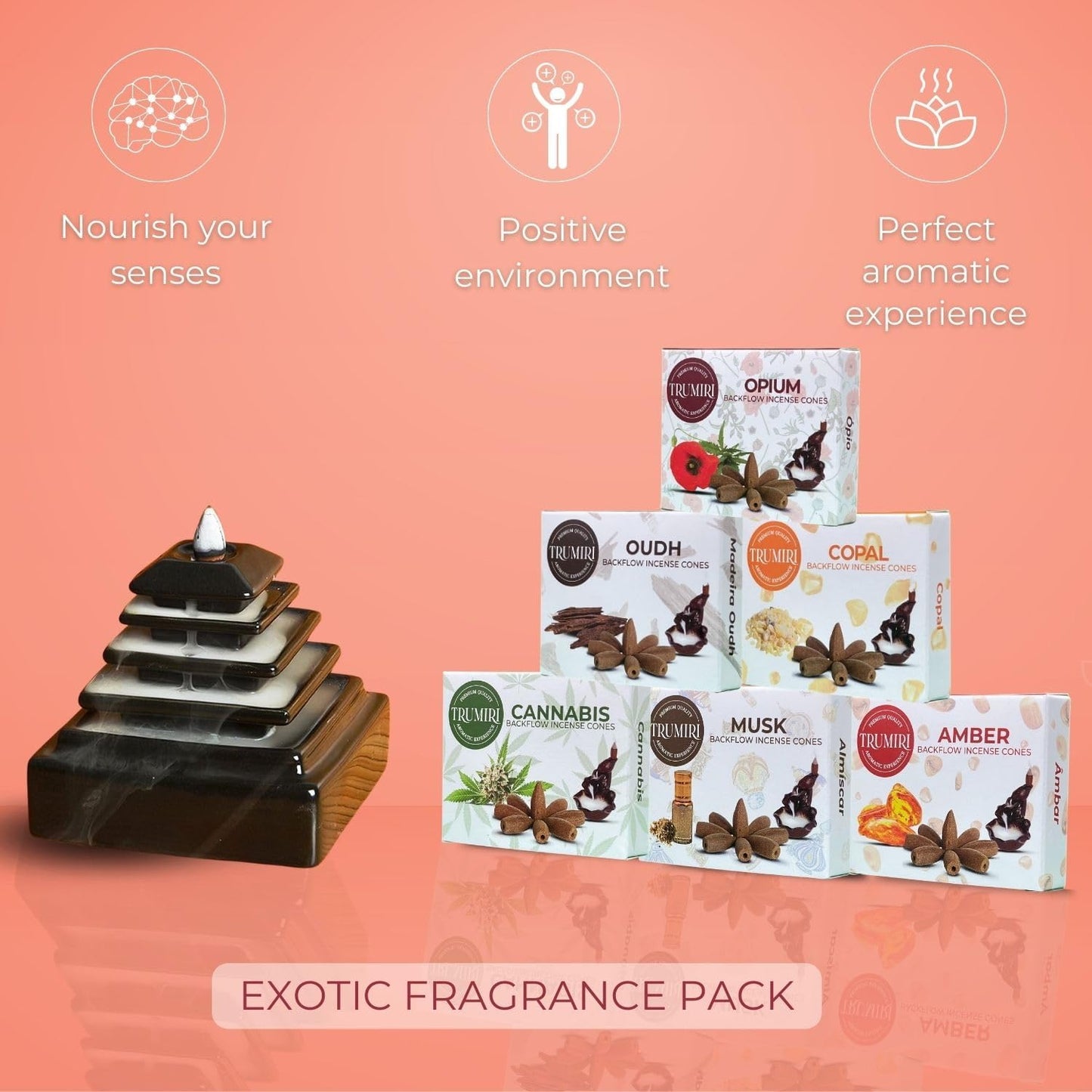 Exotic - Backflow Incense Cones for Waterfall - Scented Inscents-Cones - Copal, Amber, Musk, Oud - Insiensos Aromaticos - 6x10=60 Large Variety Pack