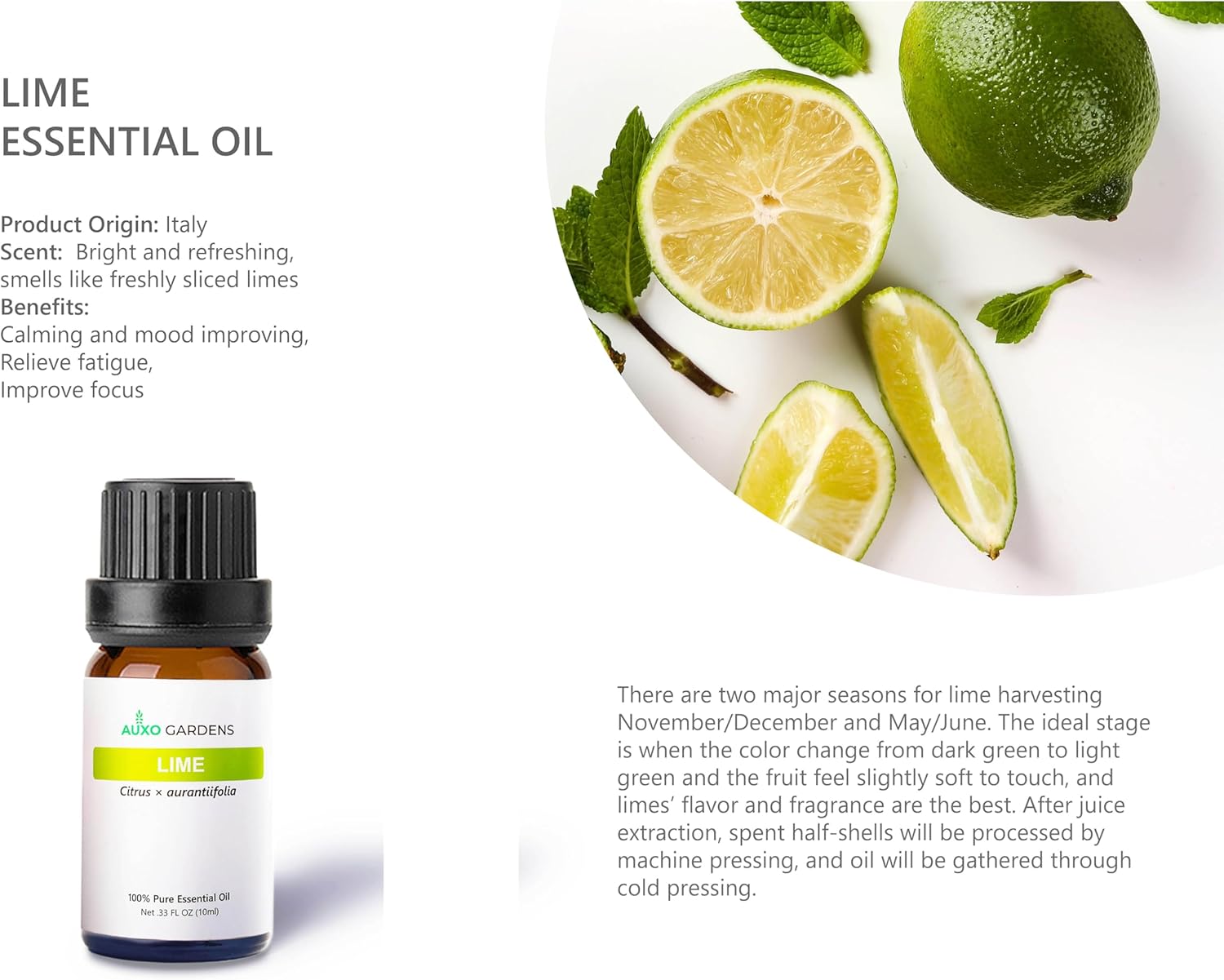 Citrus Essential Oil Set - Pack of 6, 10ml, Pure Therapeutic Grade Fruity Essential Oils includes Lemon, Grapefruit, Sweet Orange, Lime, Bergamot and Petitgrain